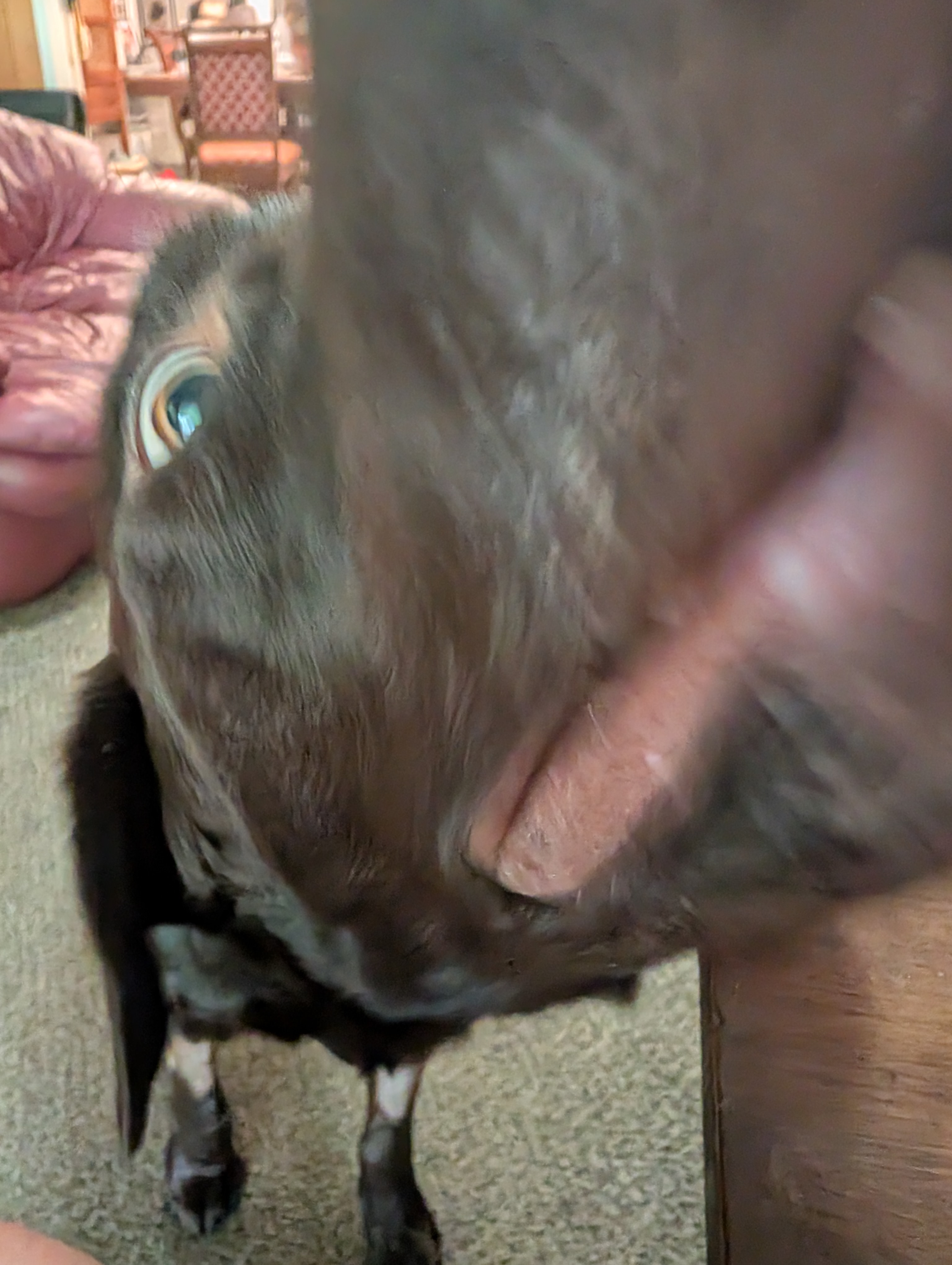 1000002704.jpg