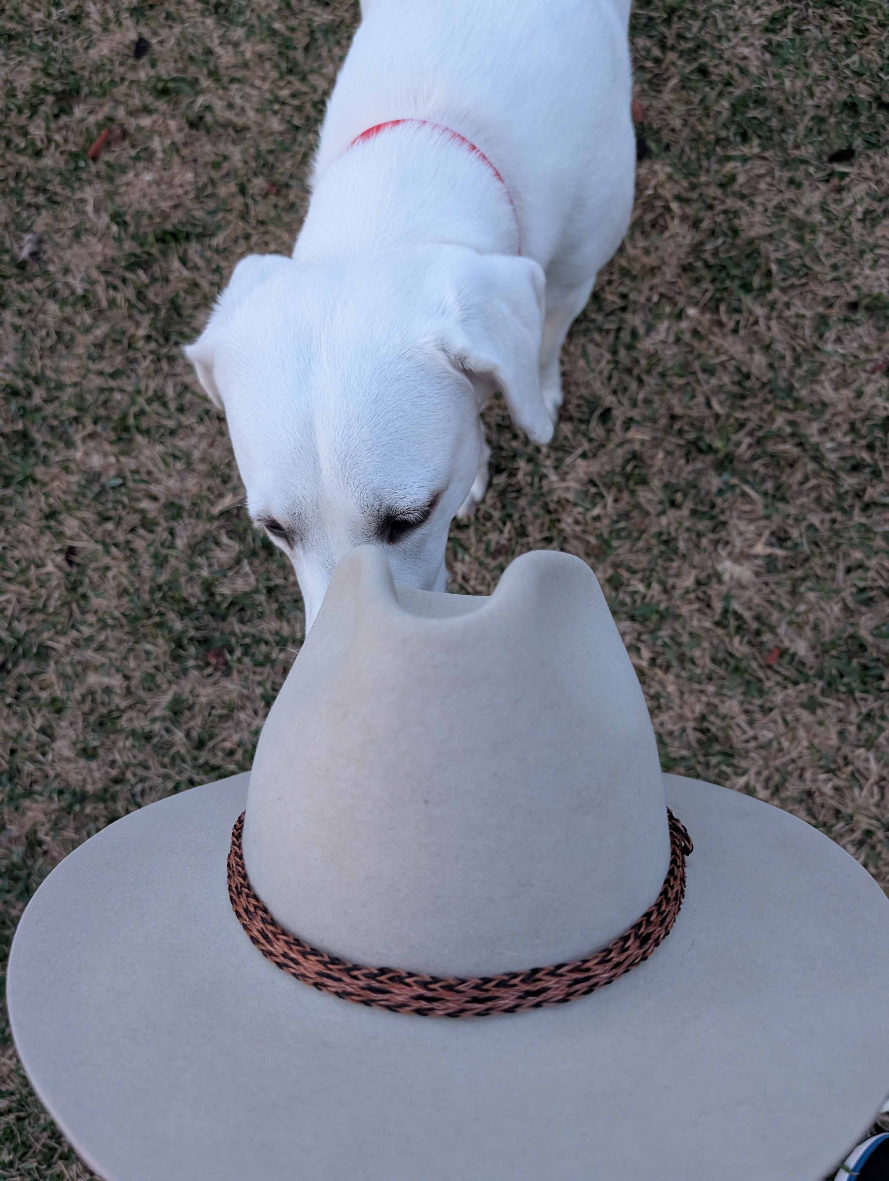 1000005139.jpg