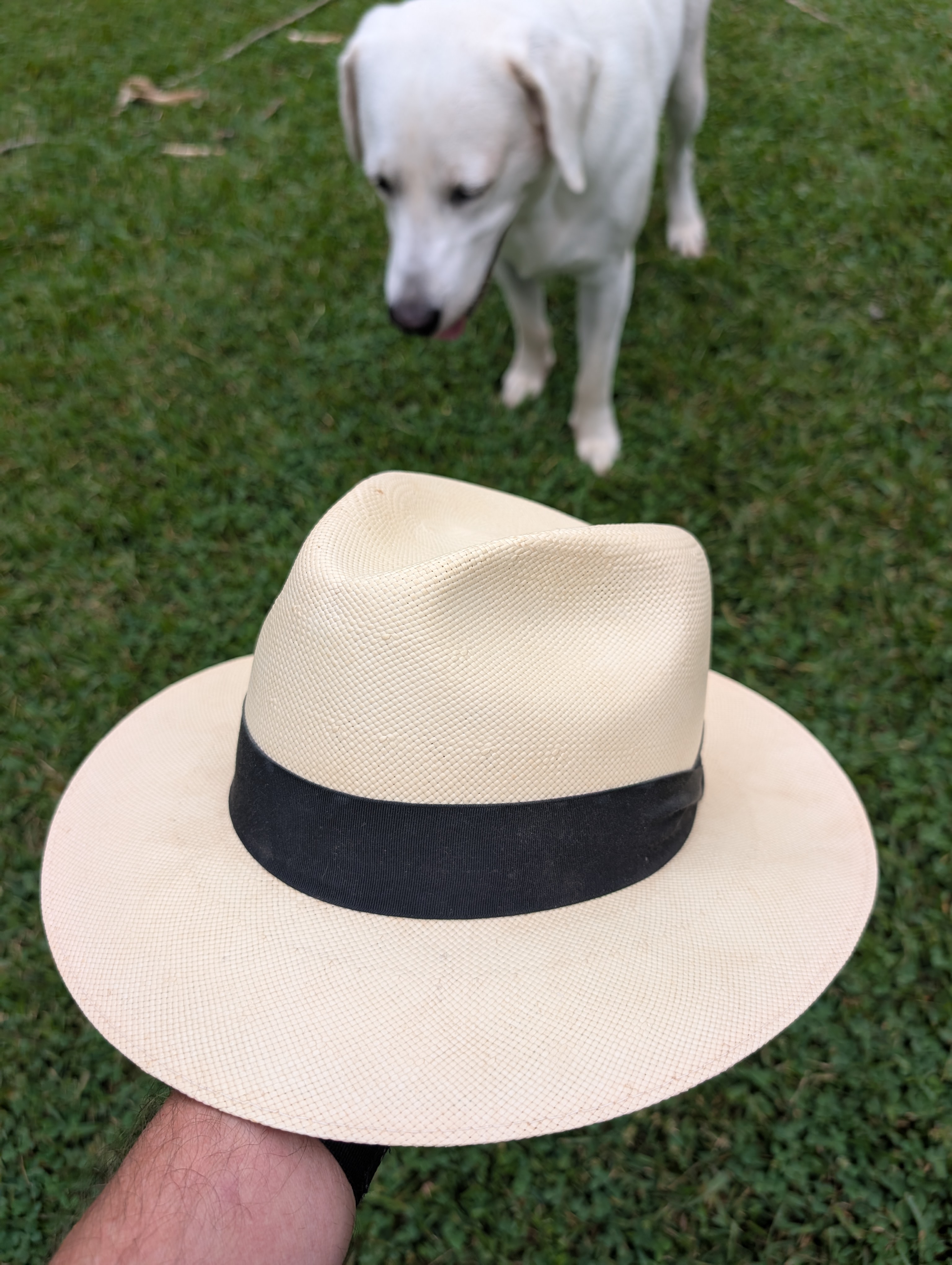 1000006366.jpg