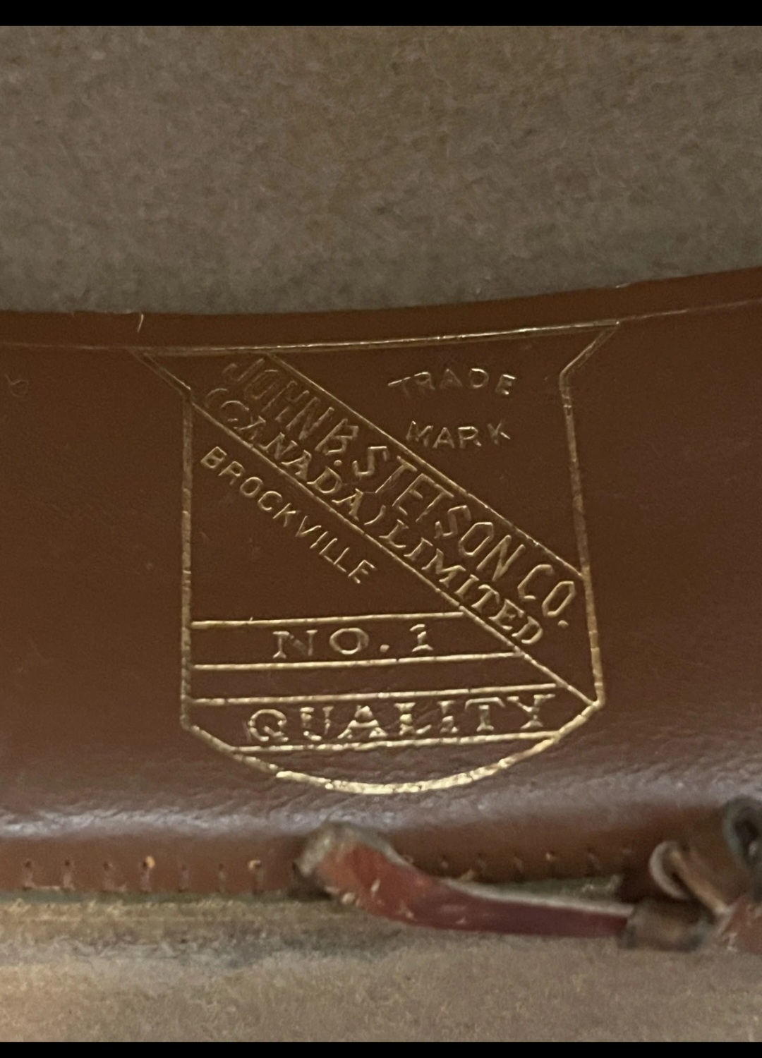 1000019614.jpg