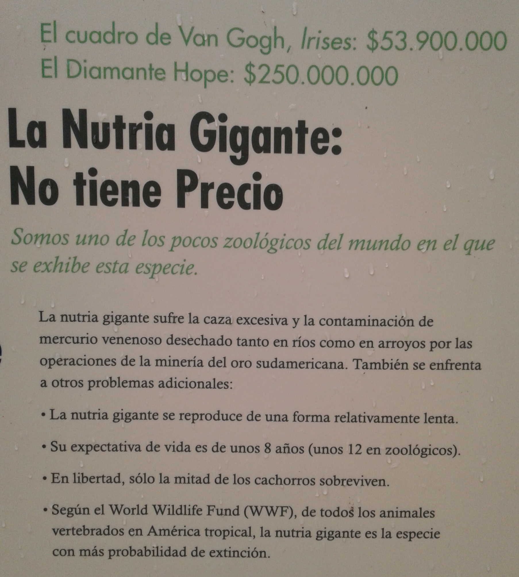 20190329_151123.jpg