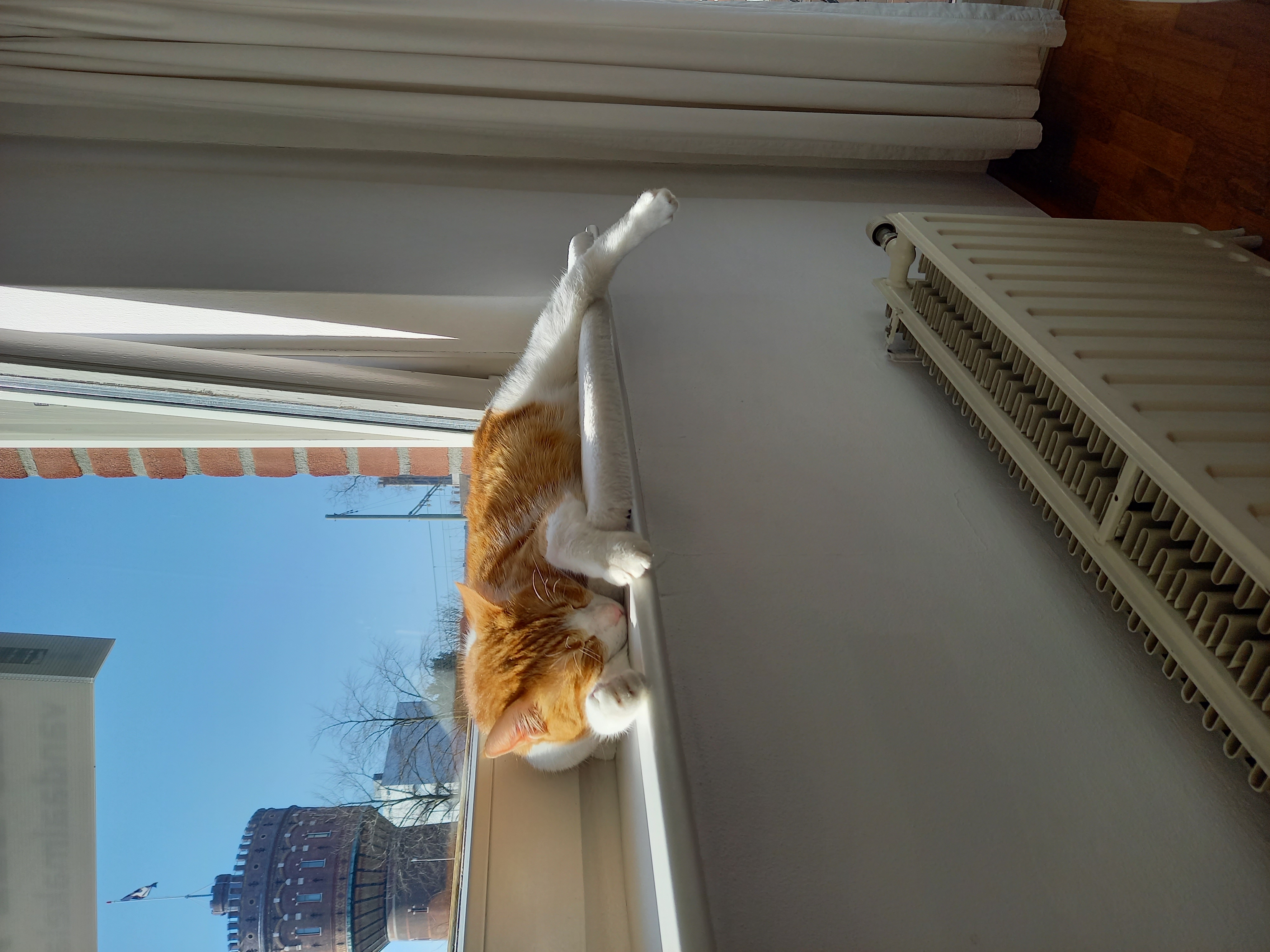 20250308_142103.jpg