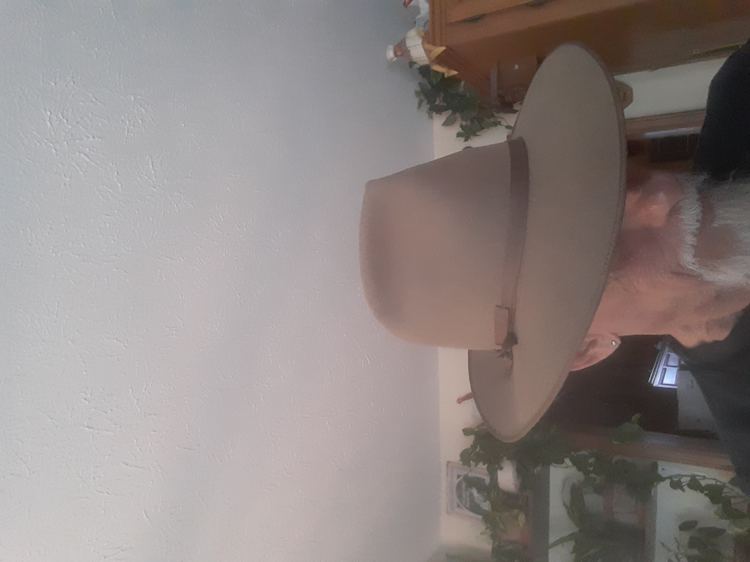 20250327_150644.jpg