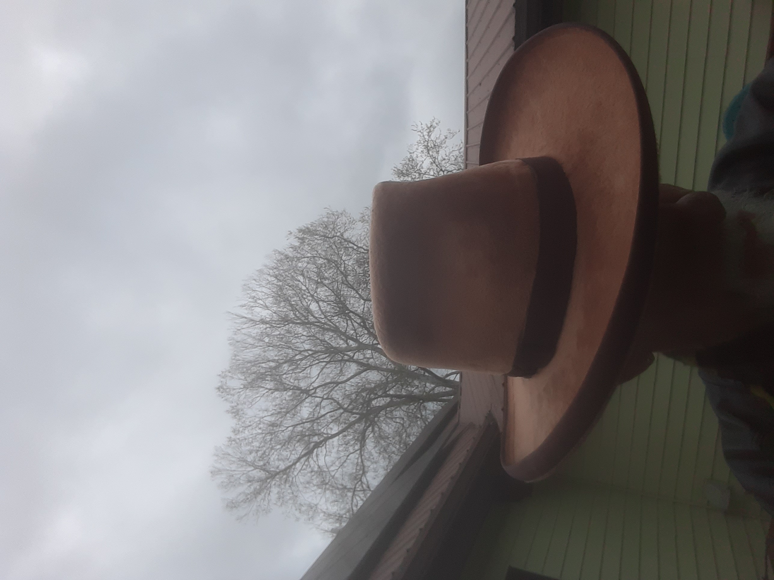 20250425_112737.jpg