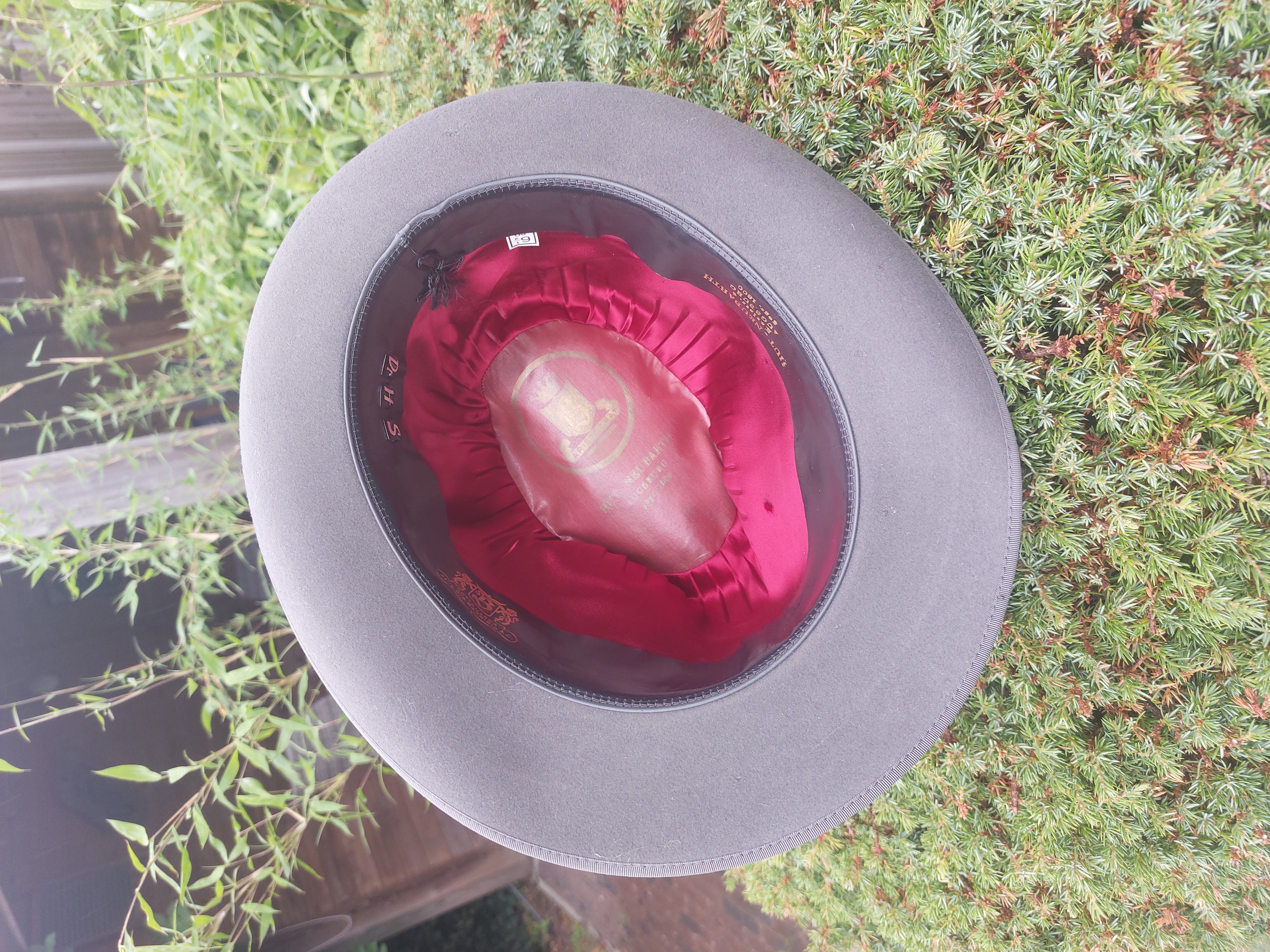 20250802_095624.jpg