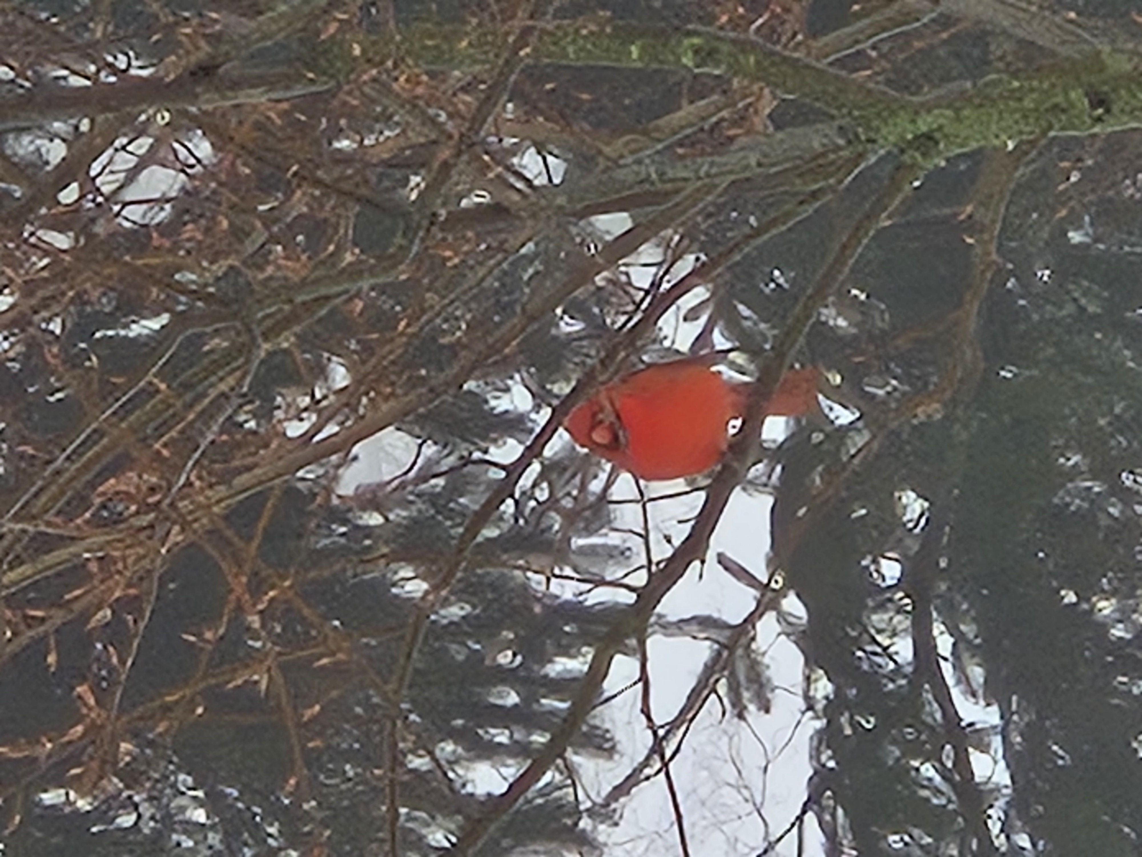 20260107_105519.jpg