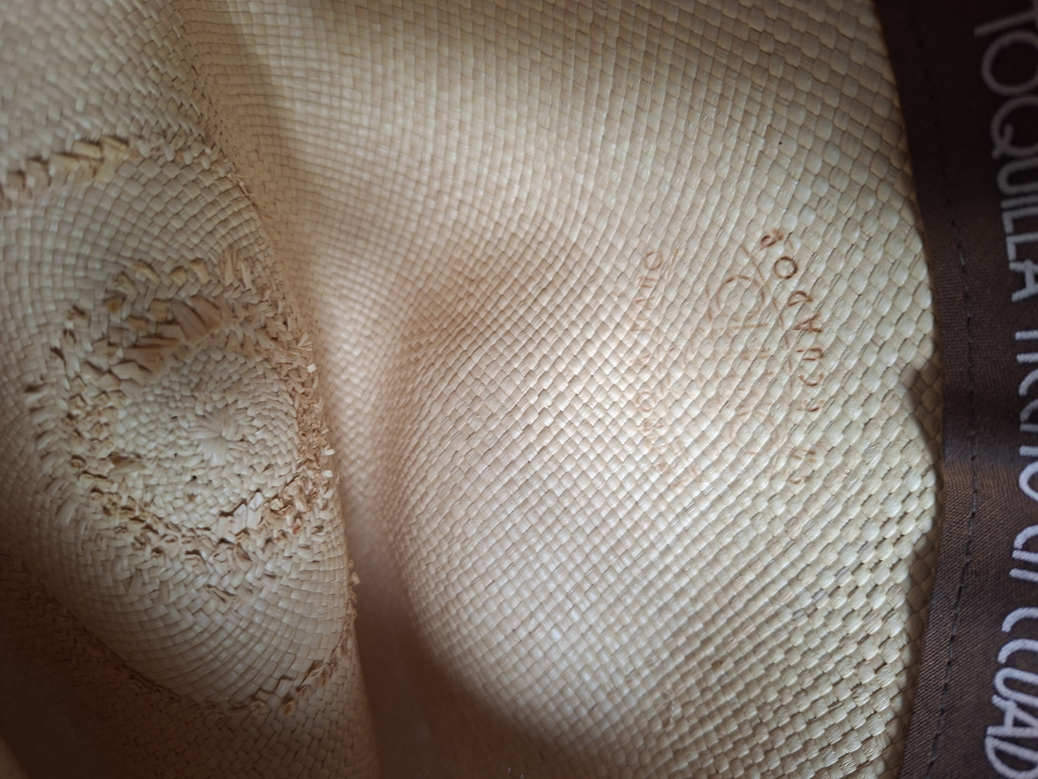 20260601_181255.jpg