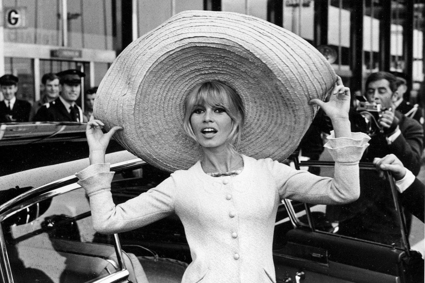 bardot3.png
