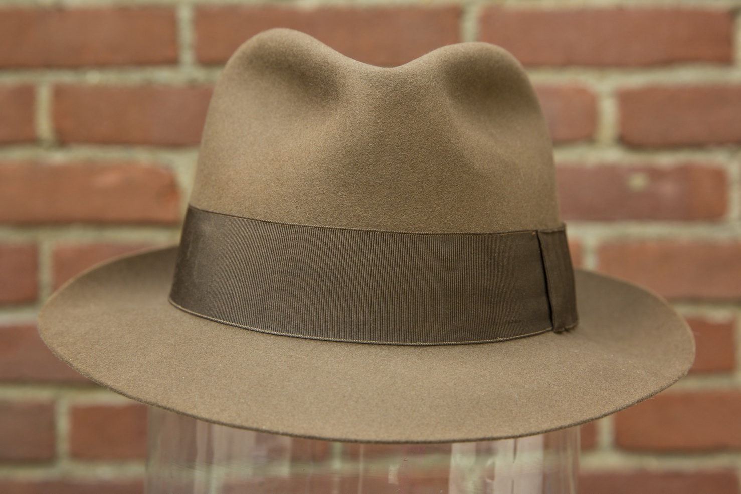 borsalino china shark_06.jpg