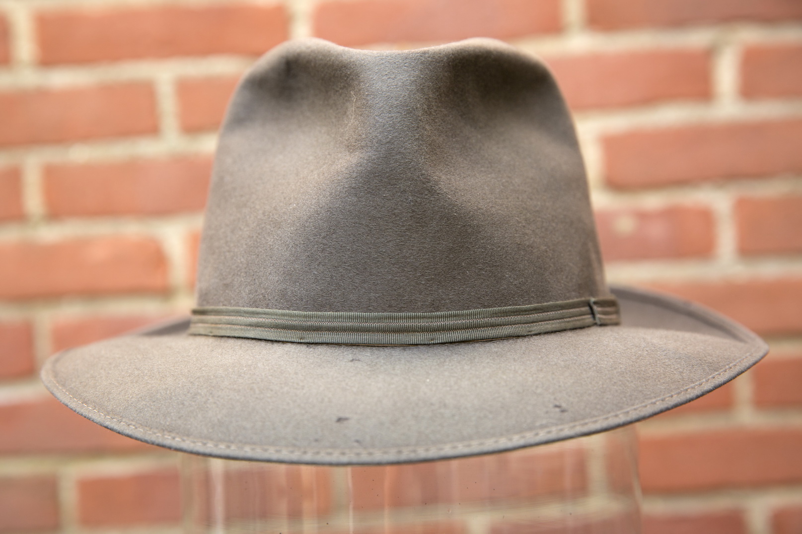 borsalino feather lupo_06.jpg