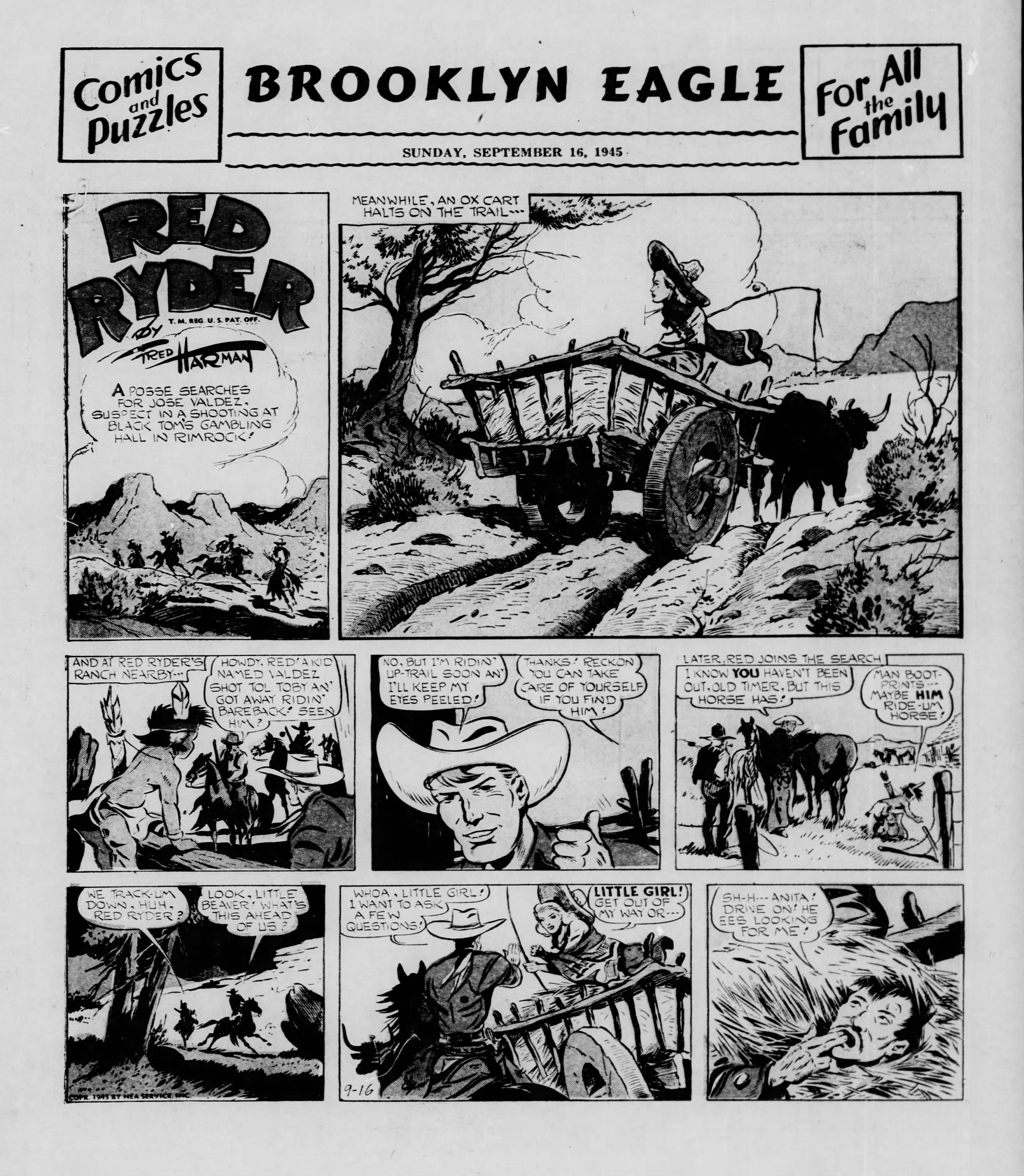 Brooklyn_Eagle_1945_09_16_Page_33.jpg