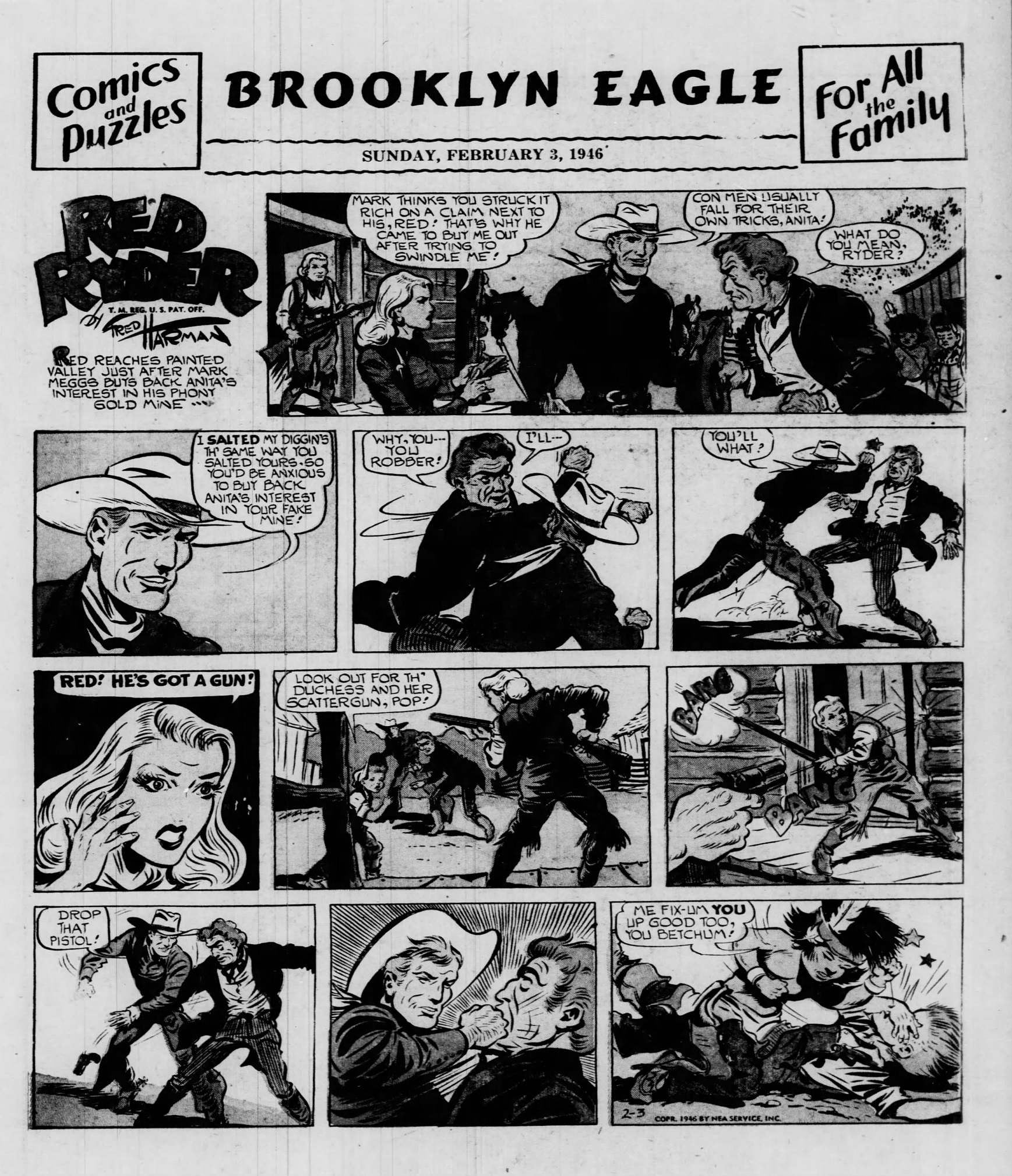 Brooklyn_Eagle_1946_02_03_Page_35.jpg