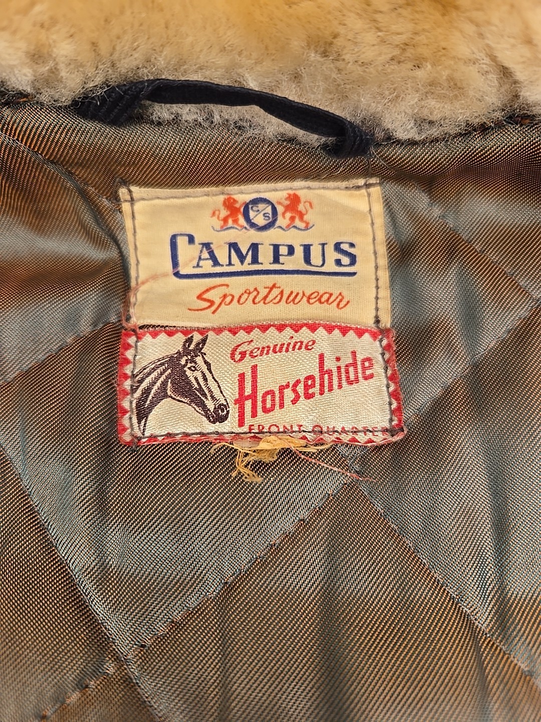 campus2.jpg