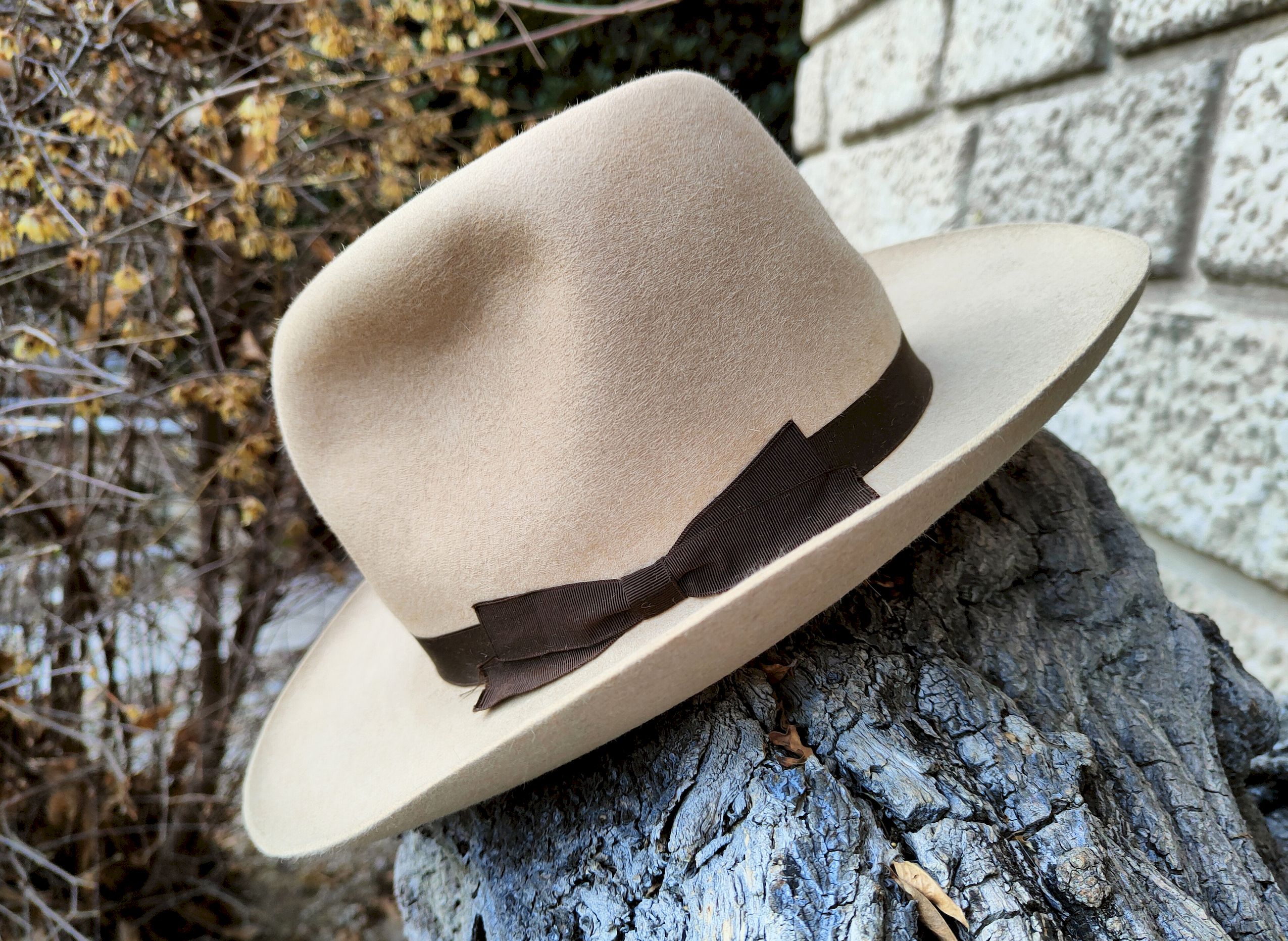 Cervo American style 6.jpg