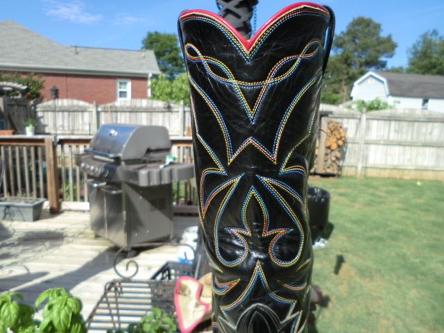 CIMG6490.JPG