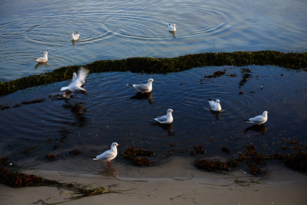 DSC_0293-test 2.jpg