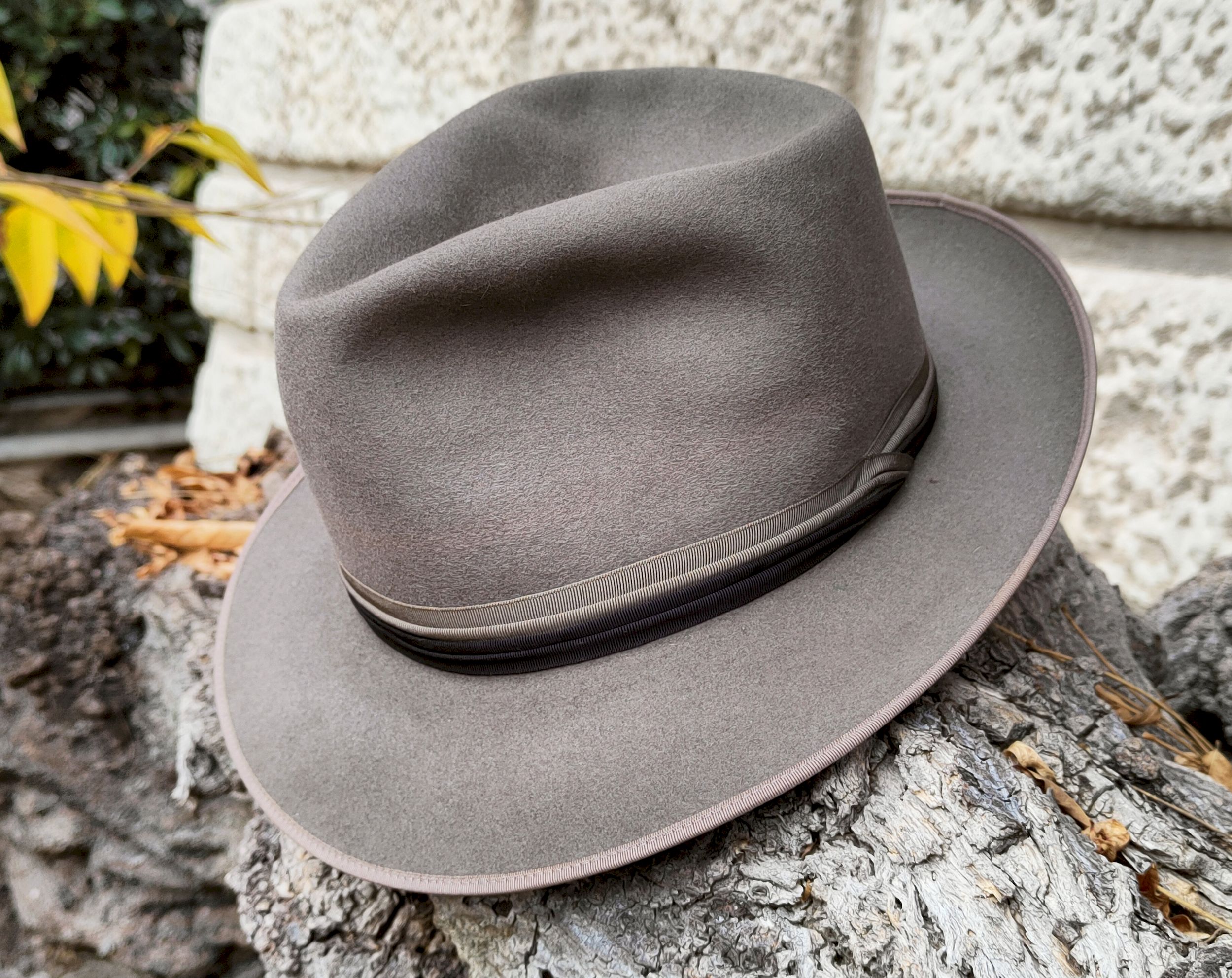 Grigio Wien 2.jpg
