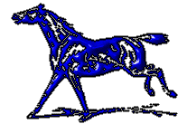 horse.gif