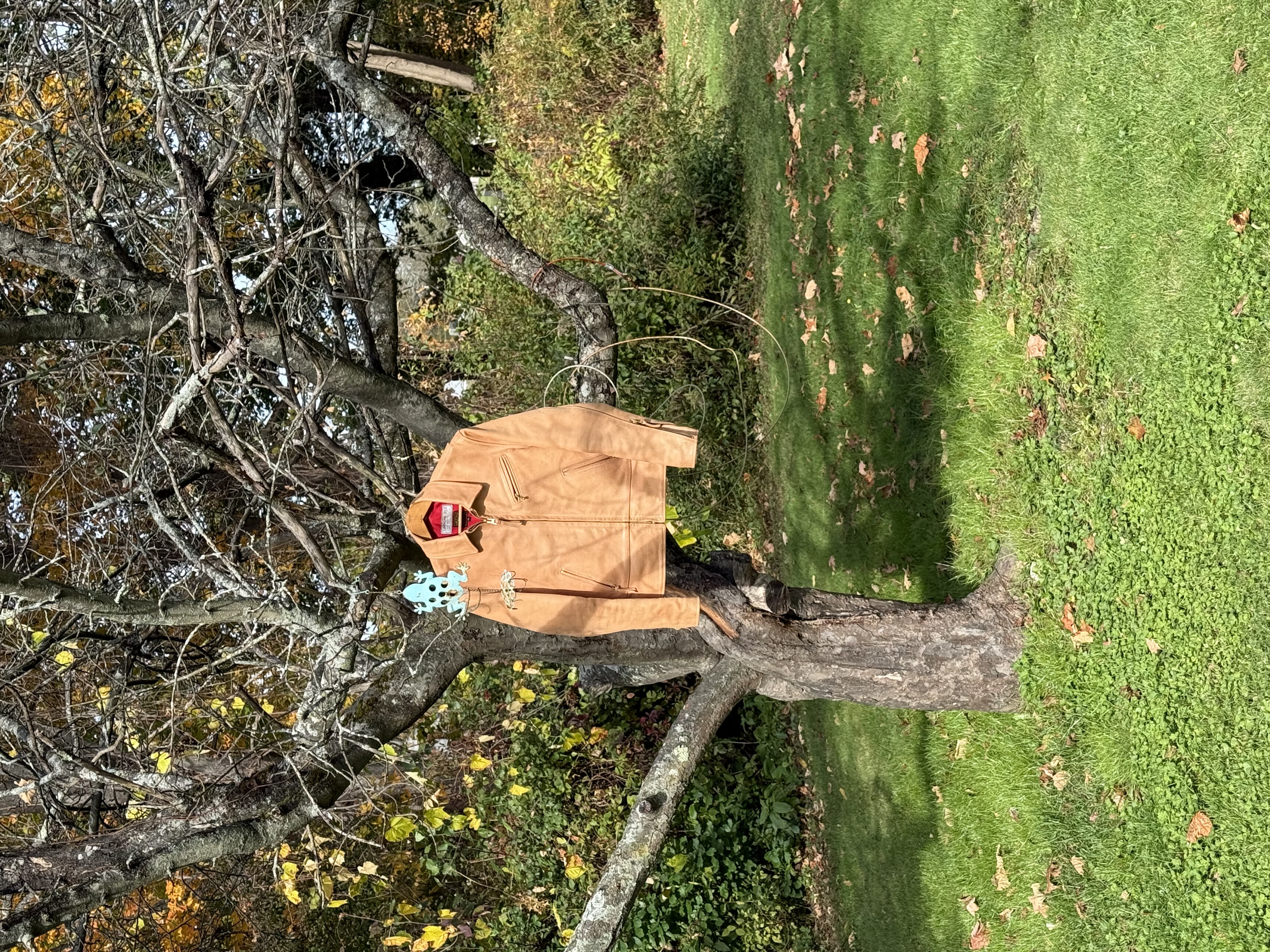 IMG_0142.jpeg