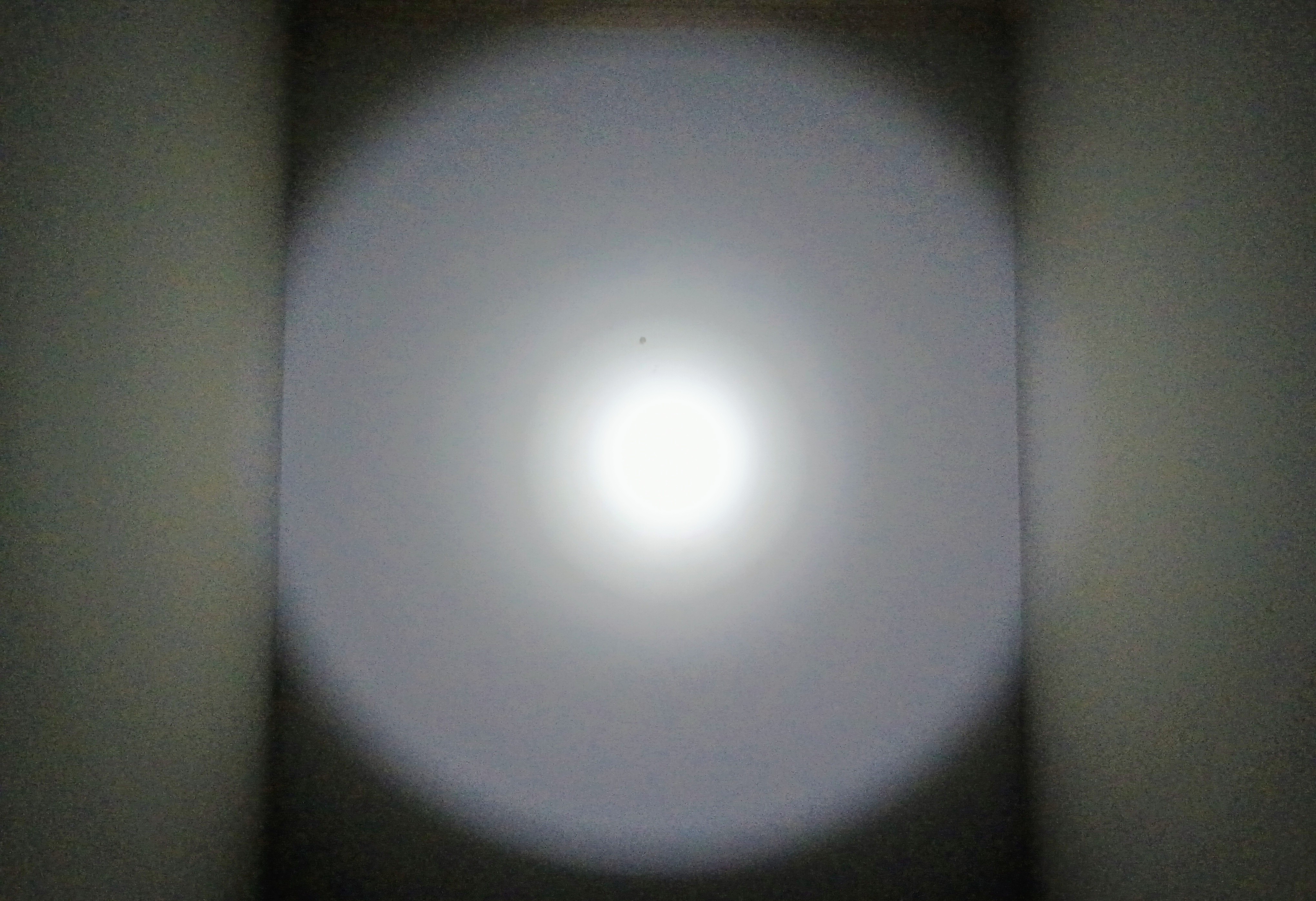 IMG_20250726_204751481~2.jpg
