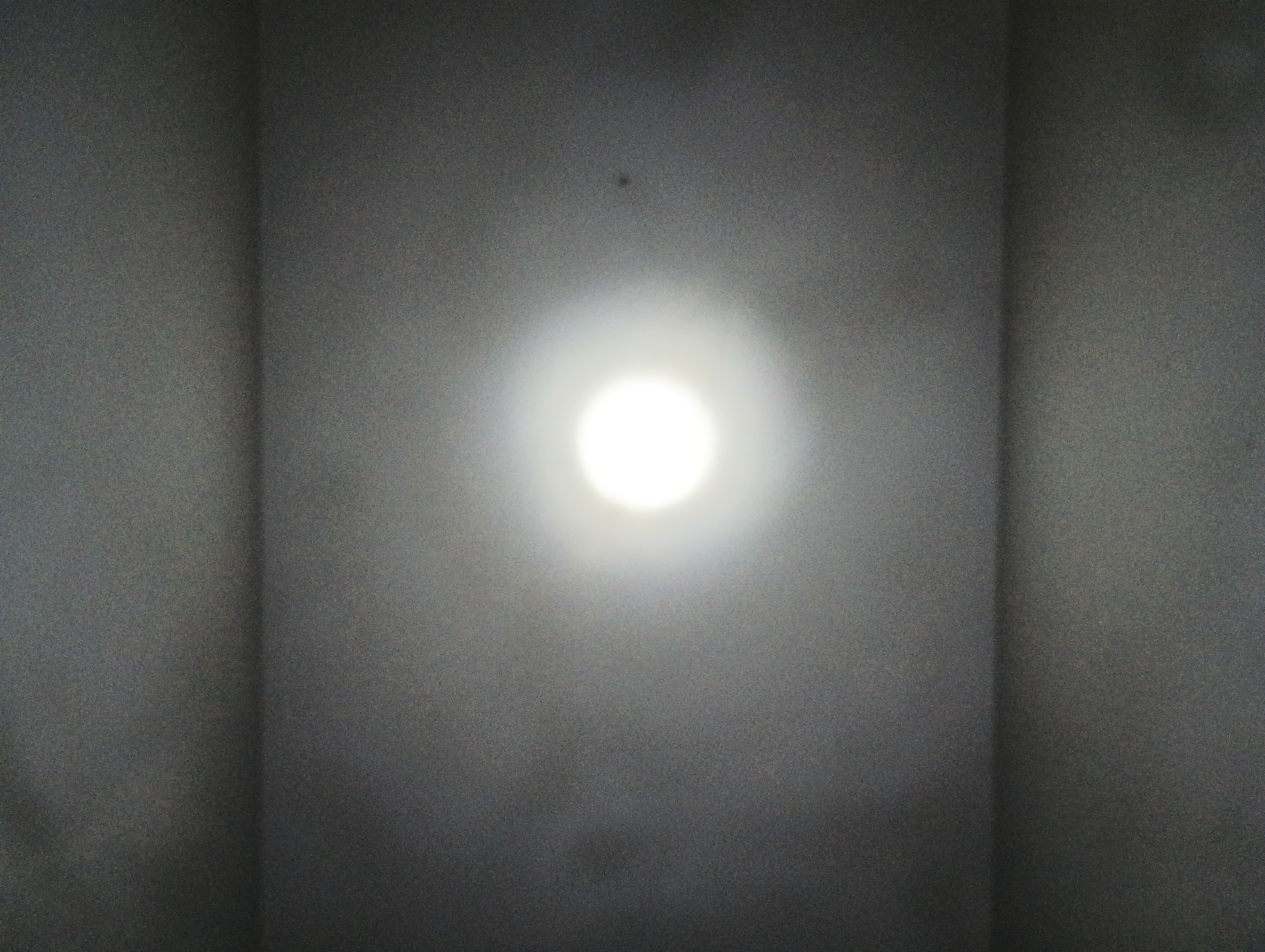 IMG_20250730_203615765.jpg