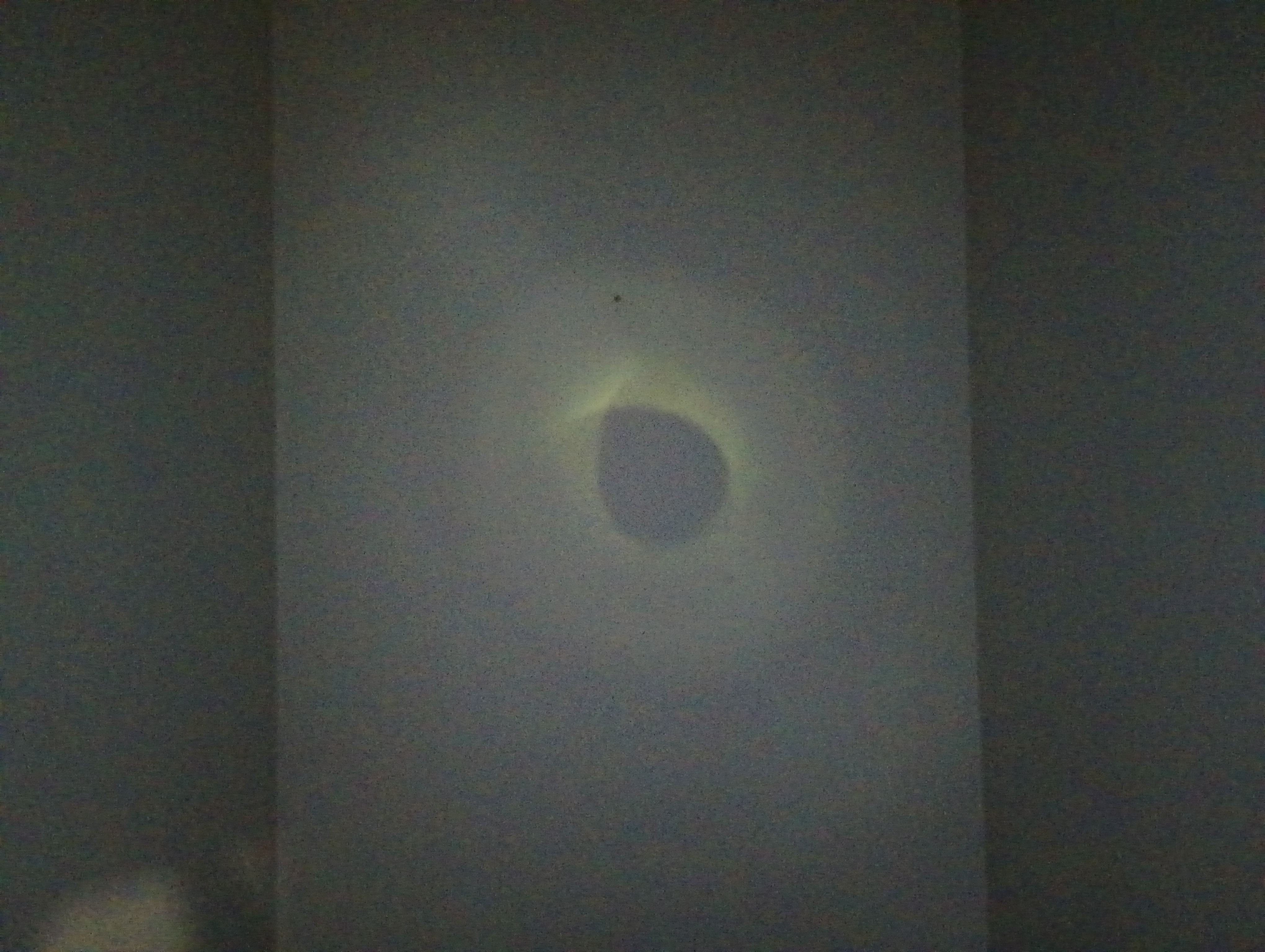 IMG_20250731_030924516.jpg