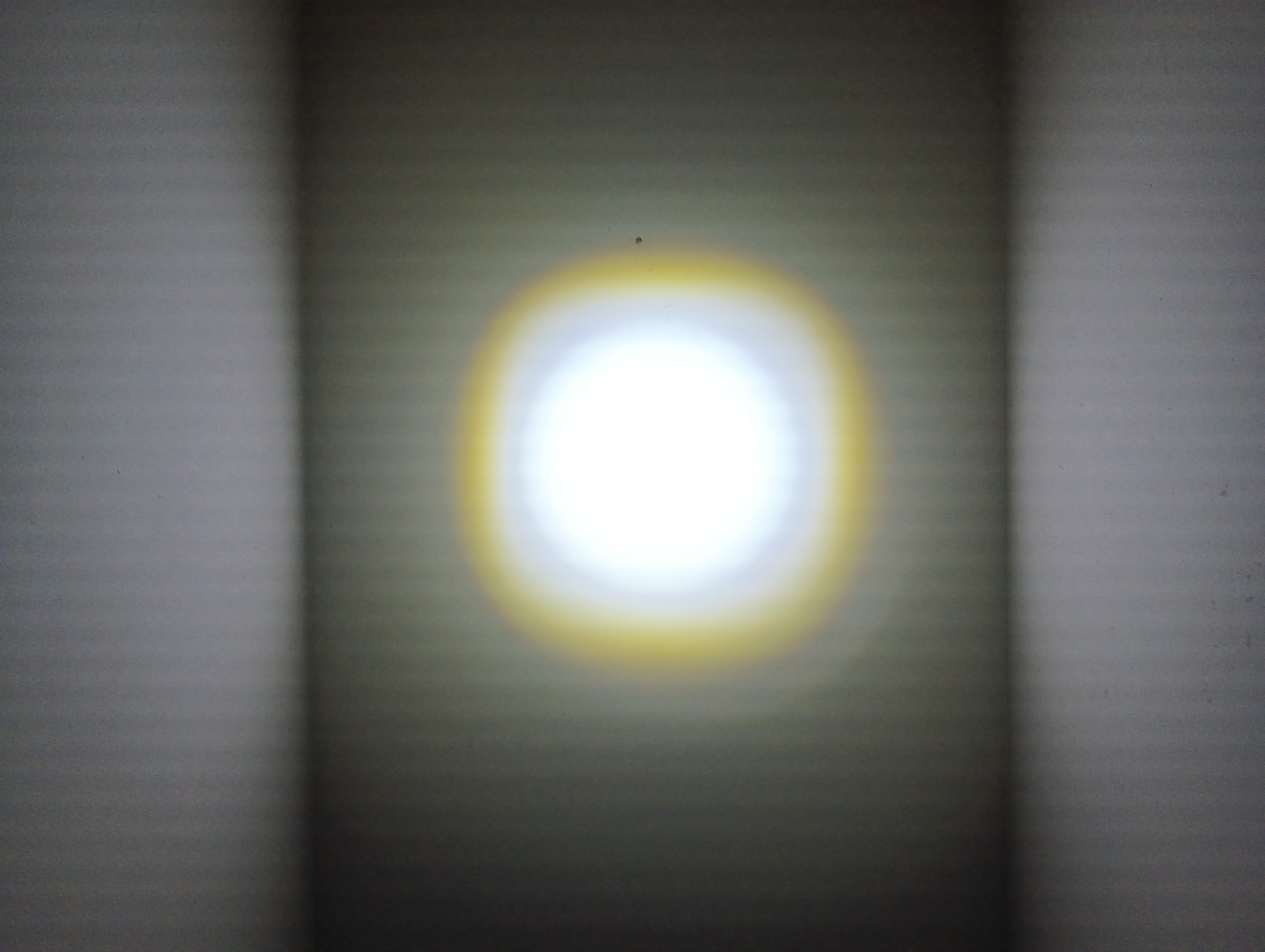 IMG_20250818_195046586.jpg