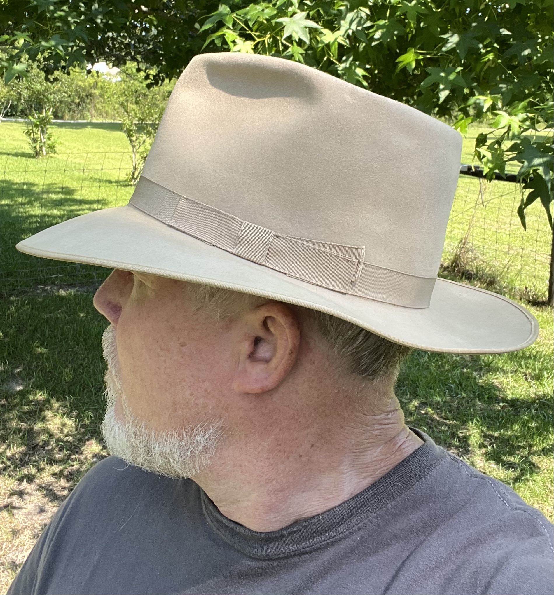 IMG_5009.jpeg