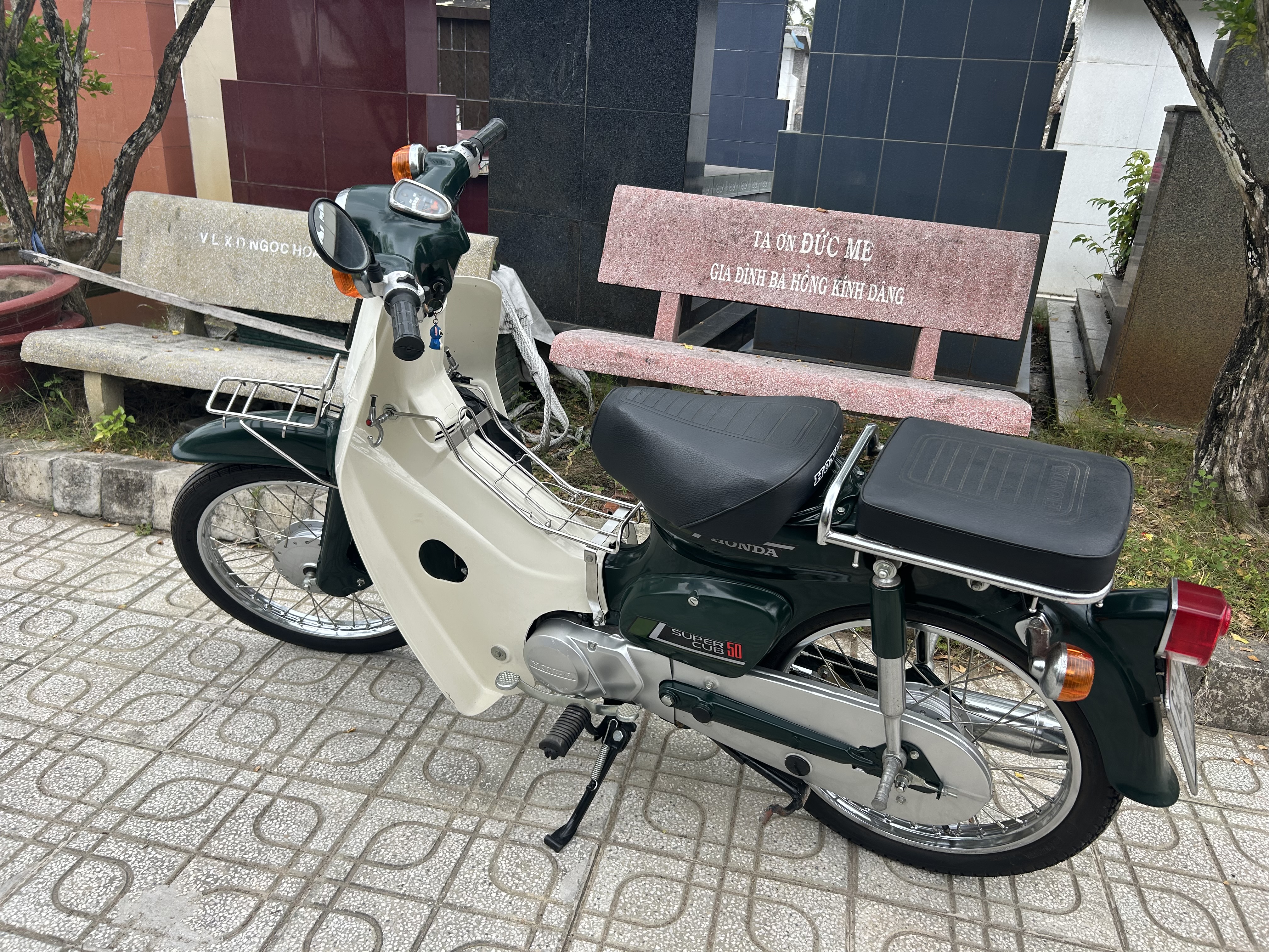 IMG_5279.jpeg