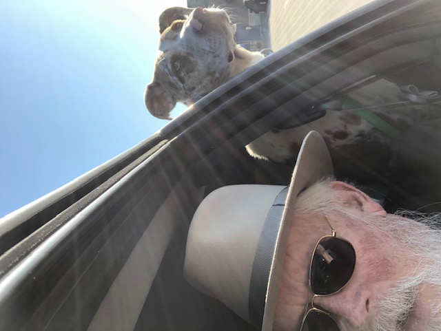 IMG_6397.jpeg