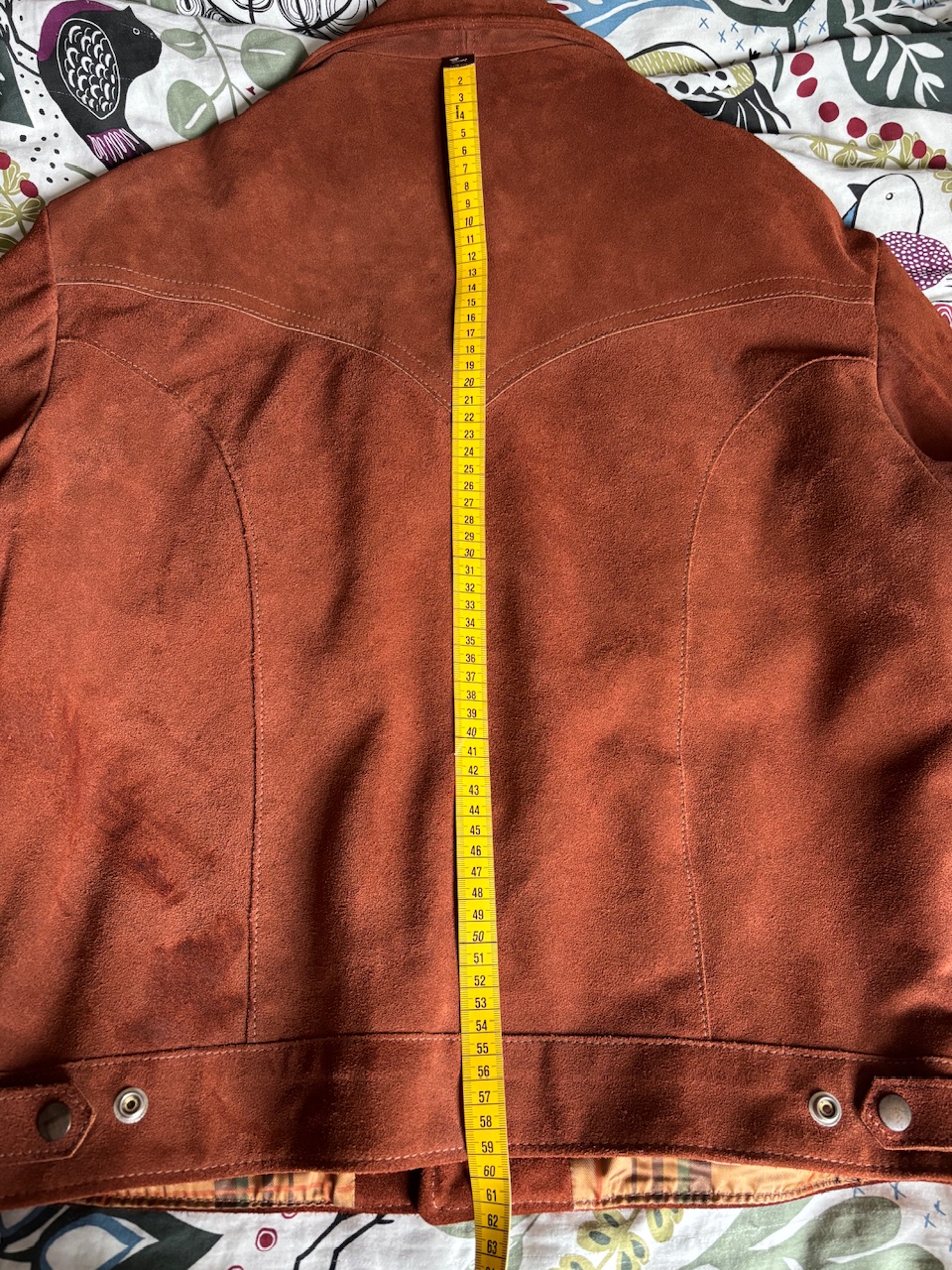 IMG_6933.jpeg
