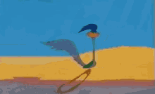 meep-meep-roadrunner.gif