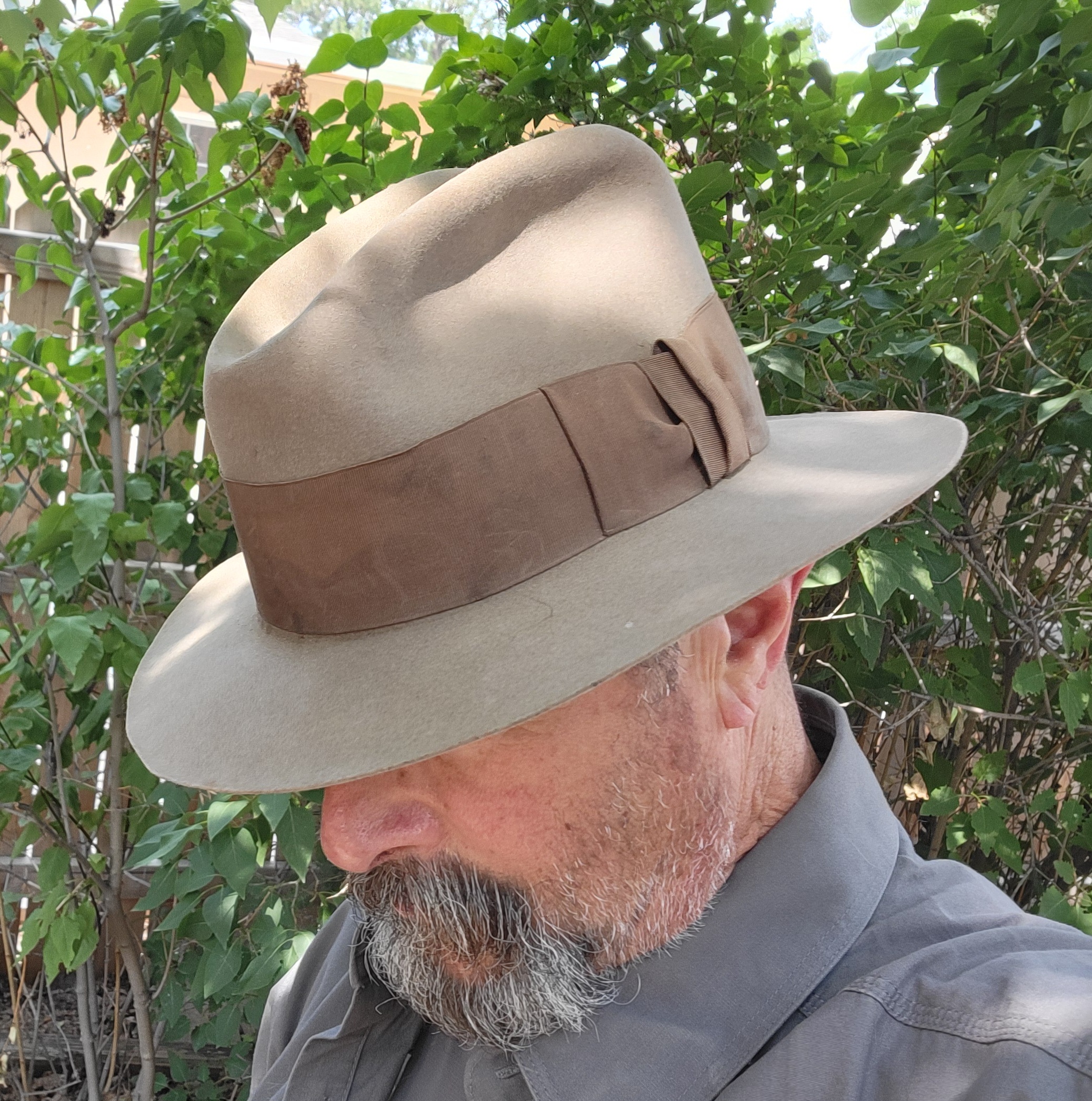 No Name fedora daily b.jpg