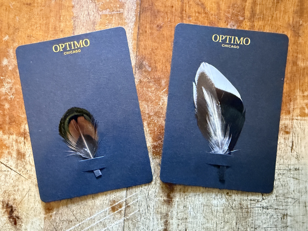 Optimo feathers 07-22-2026 (1).JPG