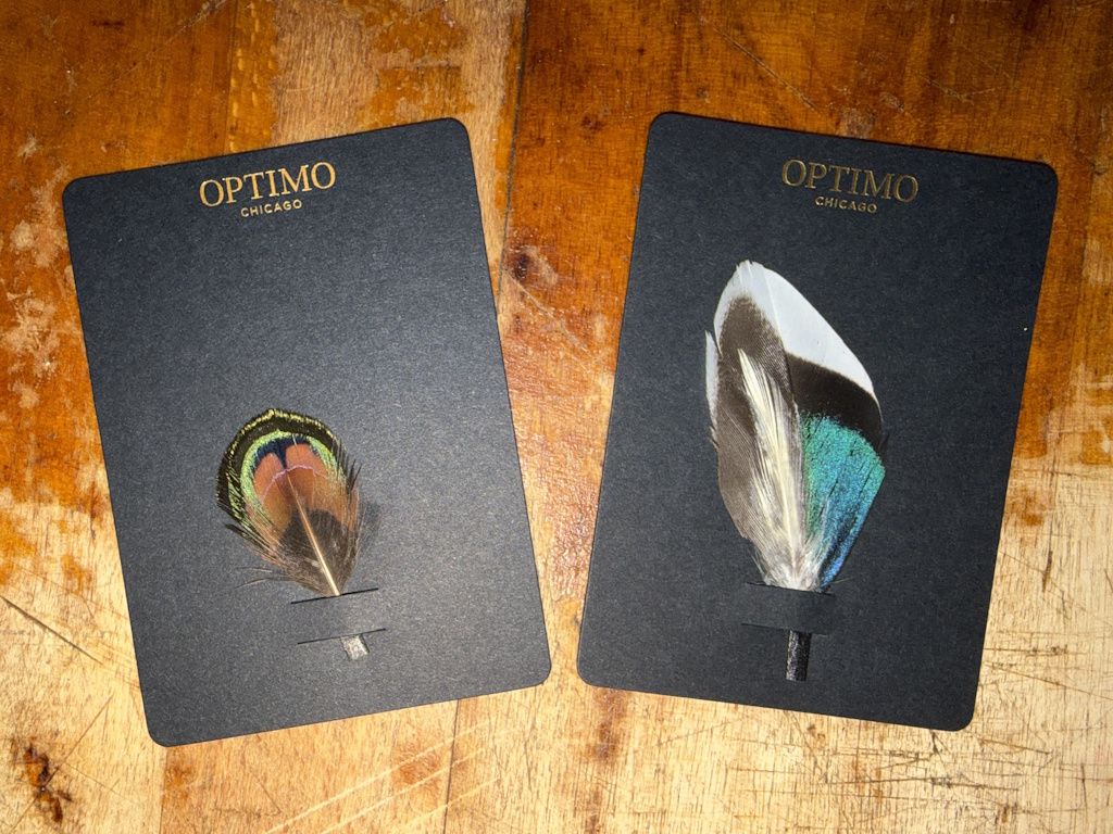 Optimo feathers 07-22-2026 (2).JPG