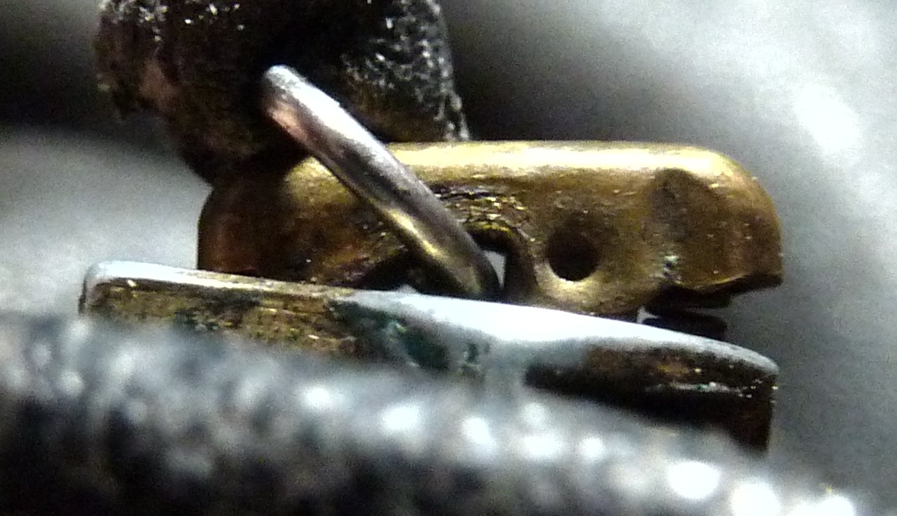 P1050393.jpg
