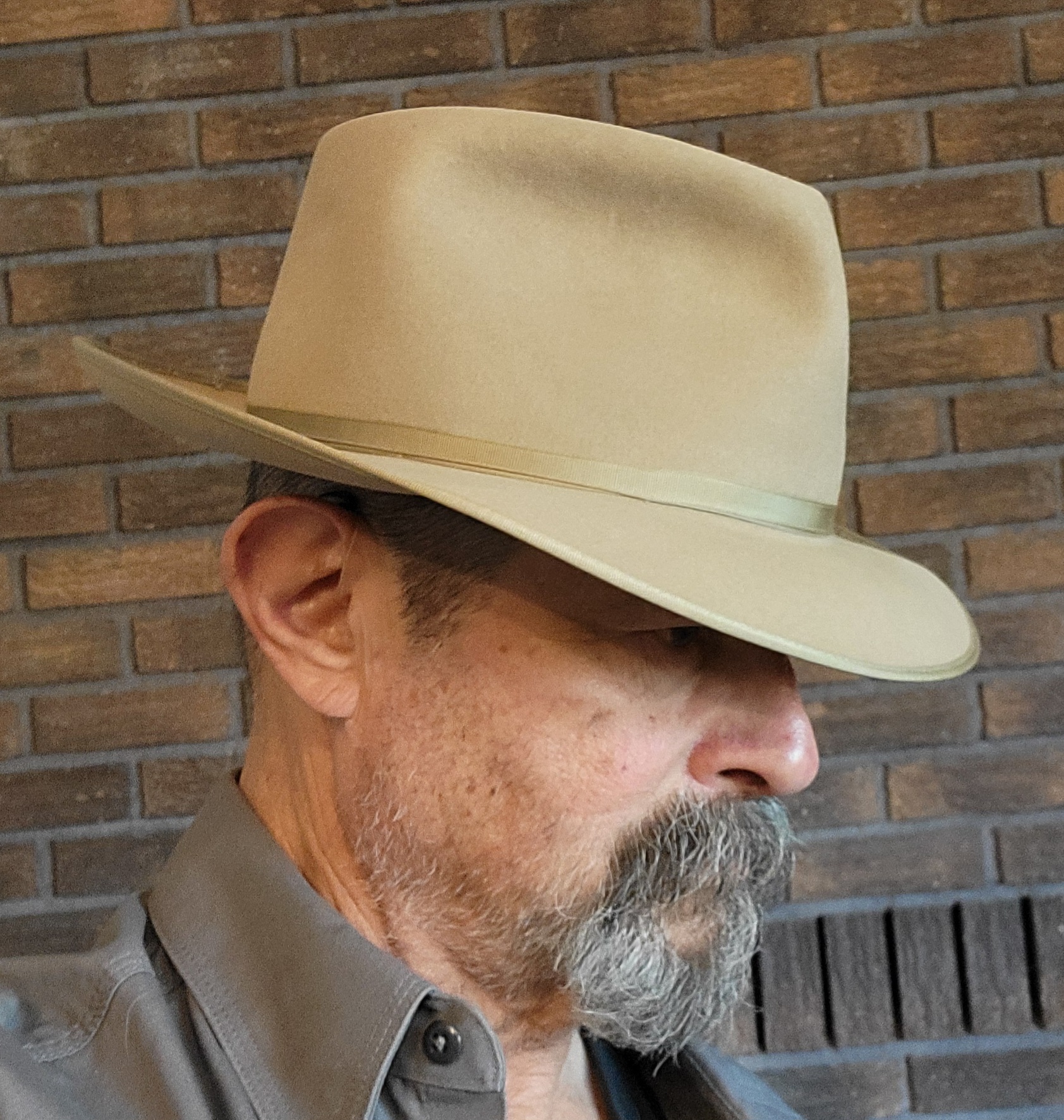 Portis tan 2.jpg