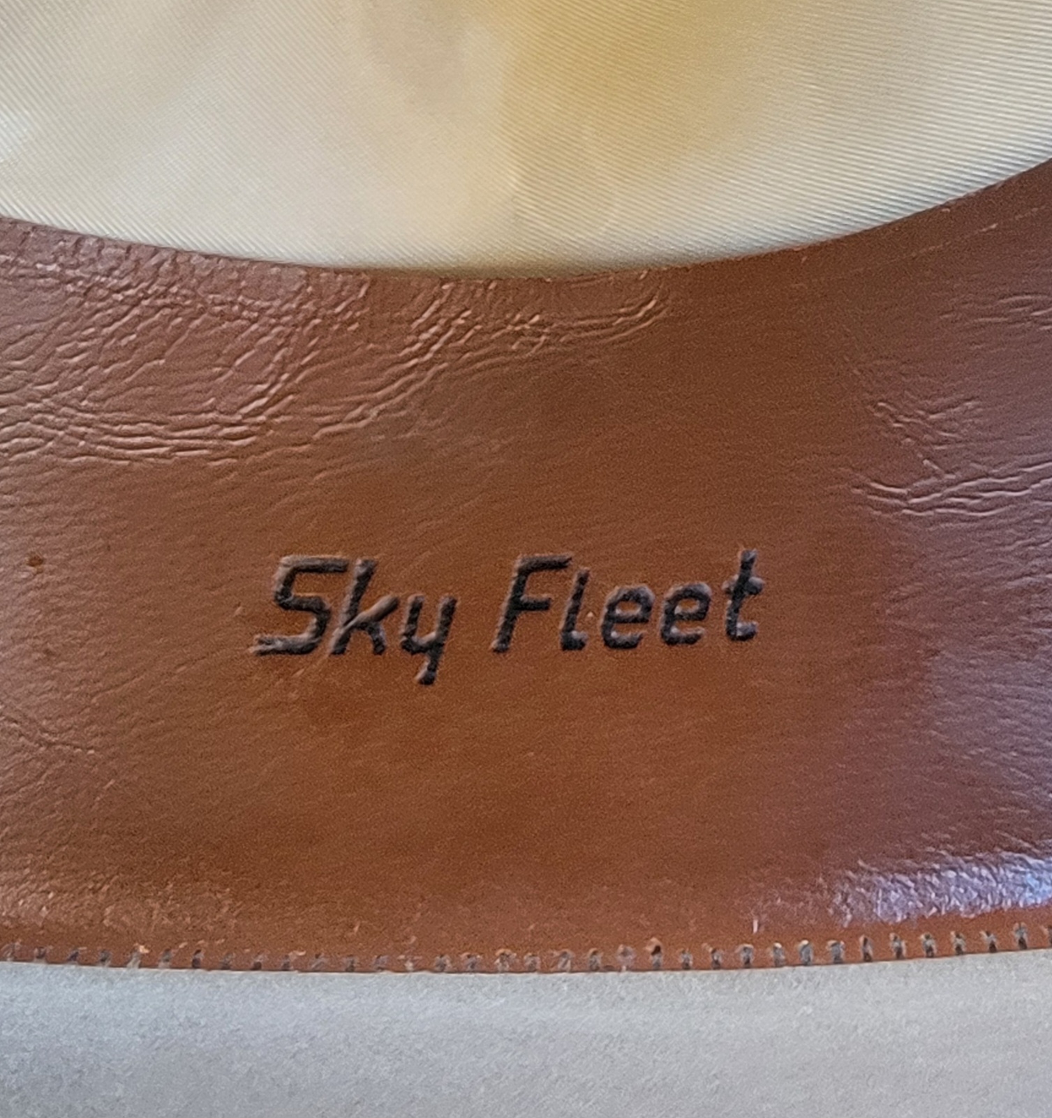 Resistol Sky Fleet 5.jpg