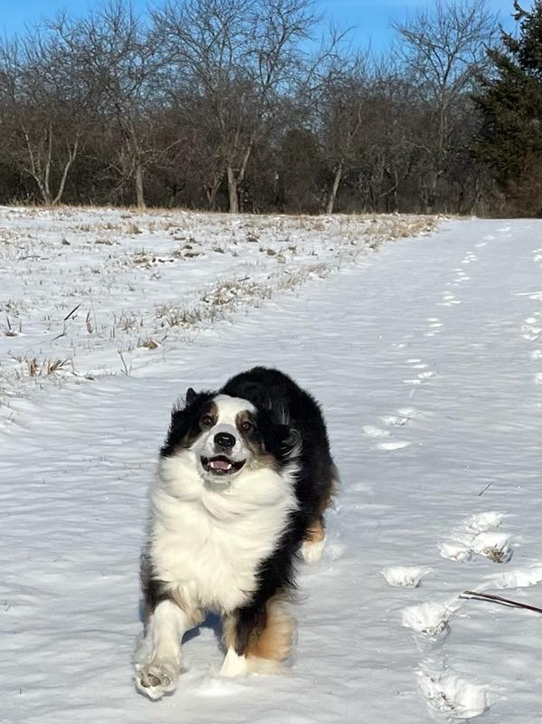 Ruby (3).jpeg