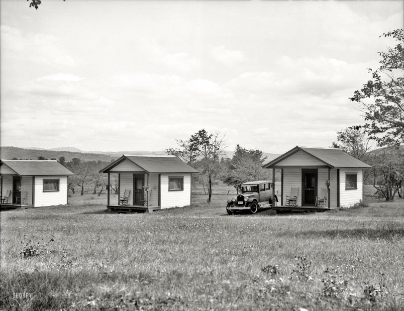 SHORPY_8b29232a.preview.jpg