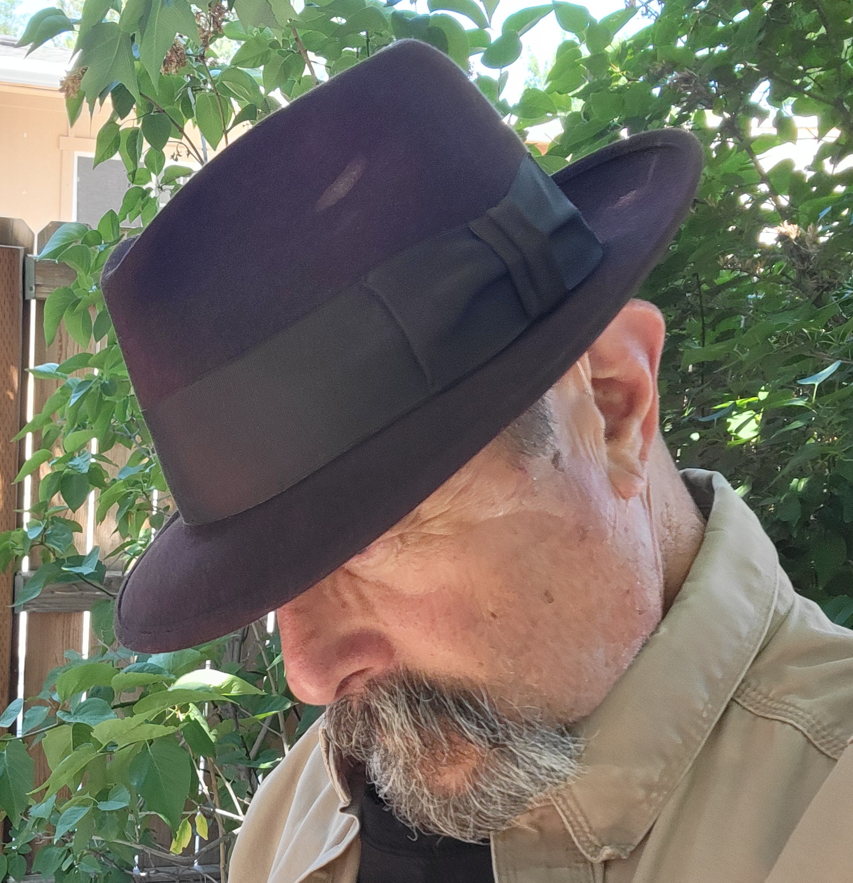 Stetson brn RS daily b.jpg