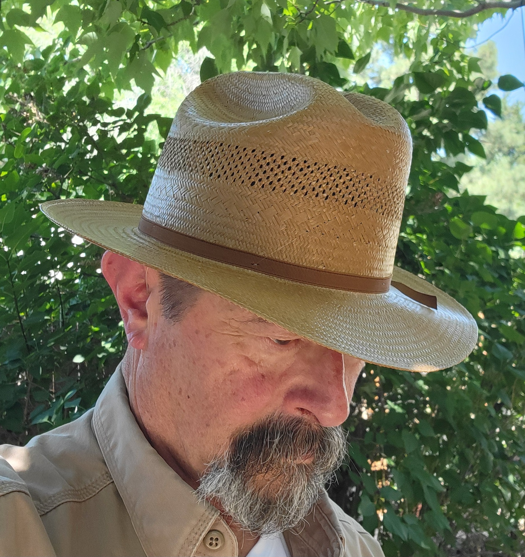 Stetson OR cognac daily b.jpg