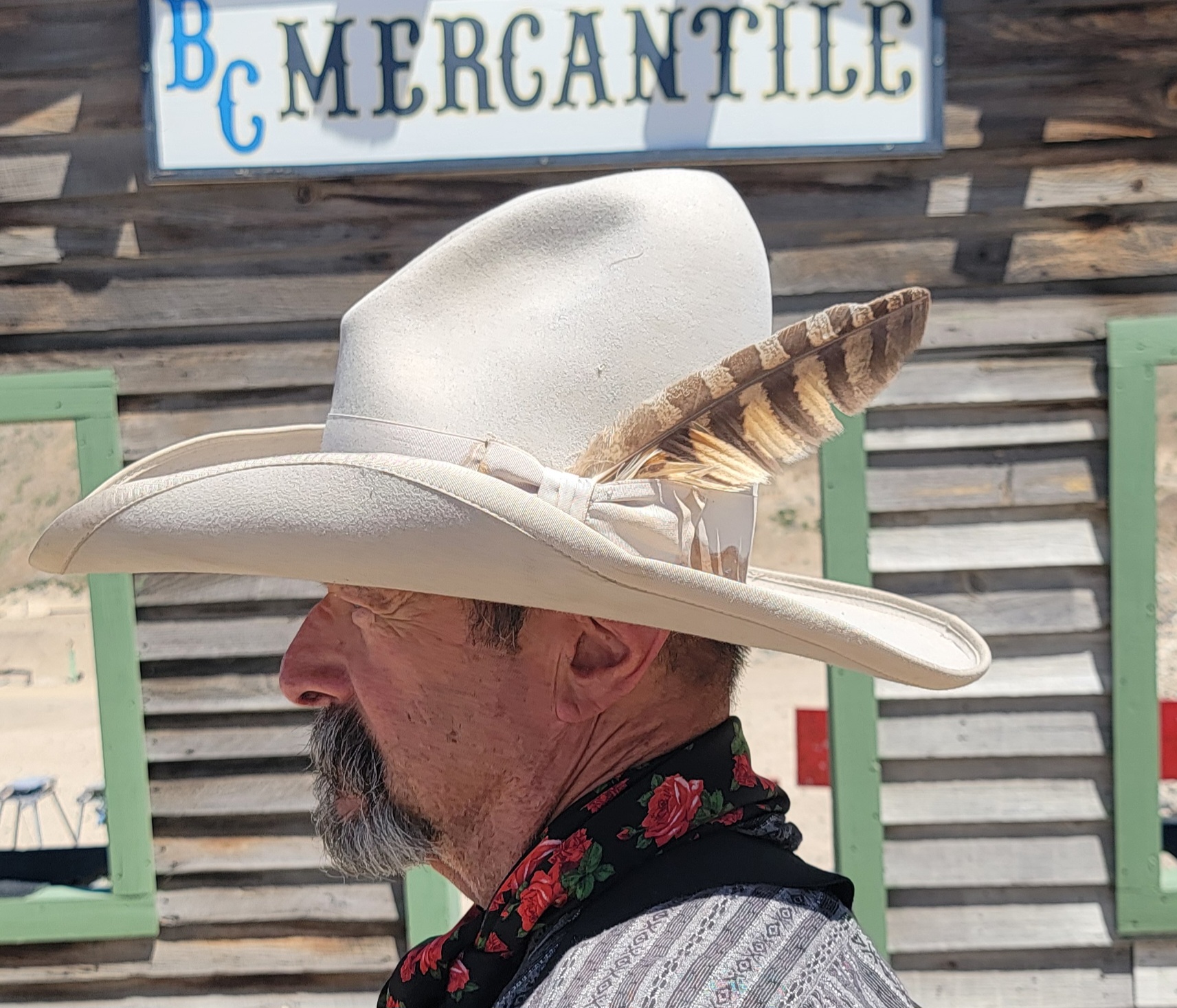Stetson Tom Mix daily - 060725.jpg