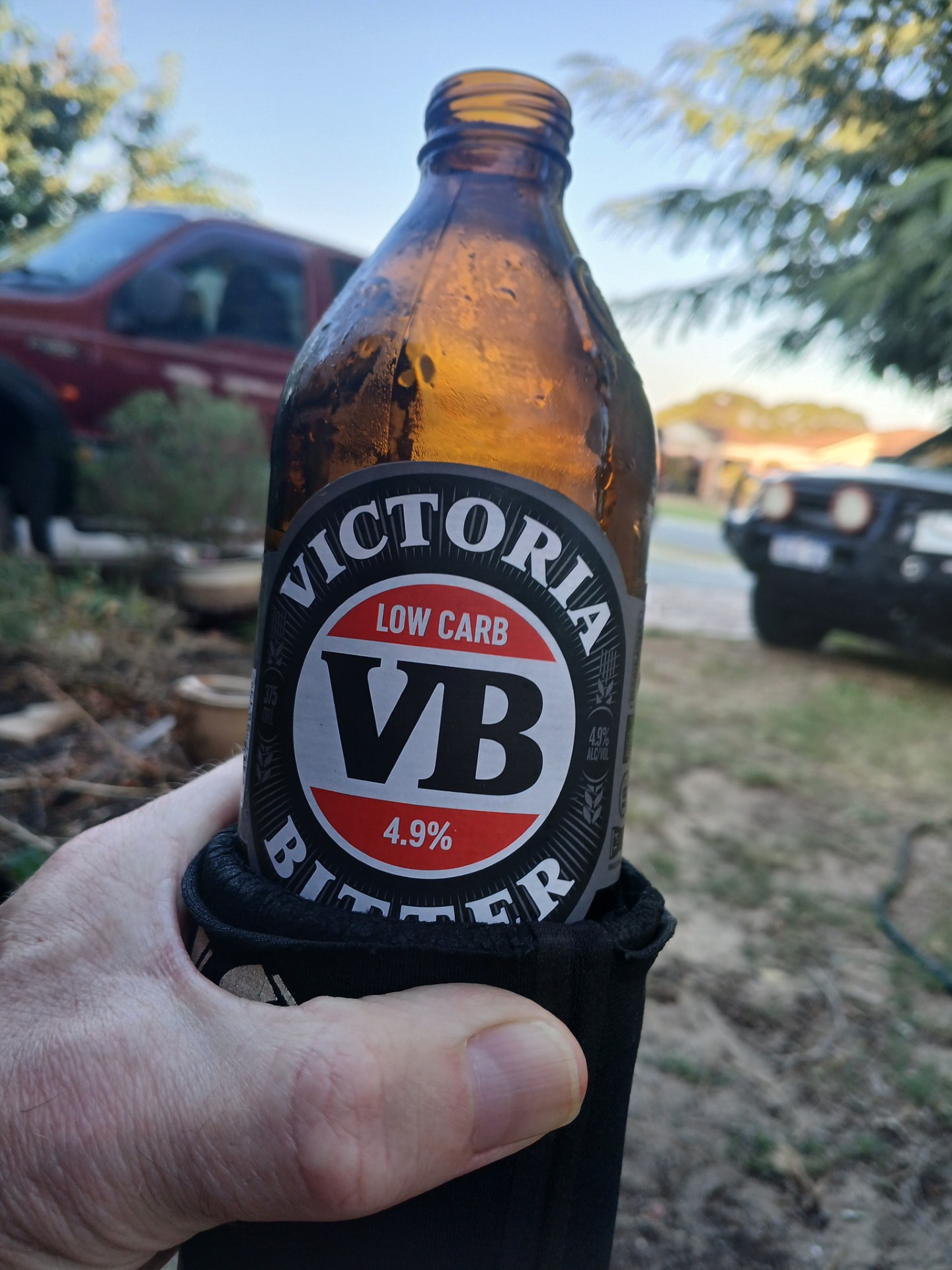 VB low carb.jpg