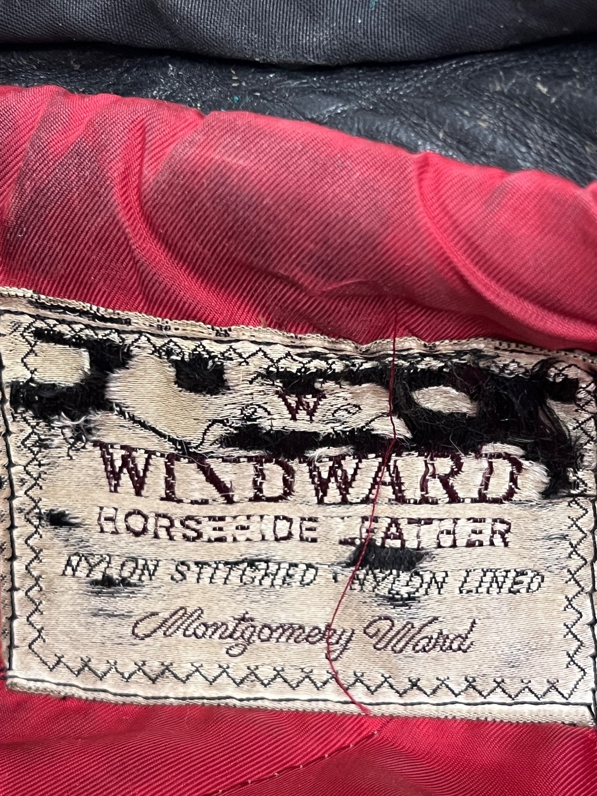 wind3.jpg
