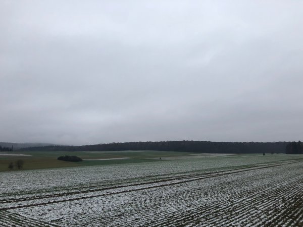 0830D626-0CFF-4A19-BEBF-869F68794E3D.jpeg
