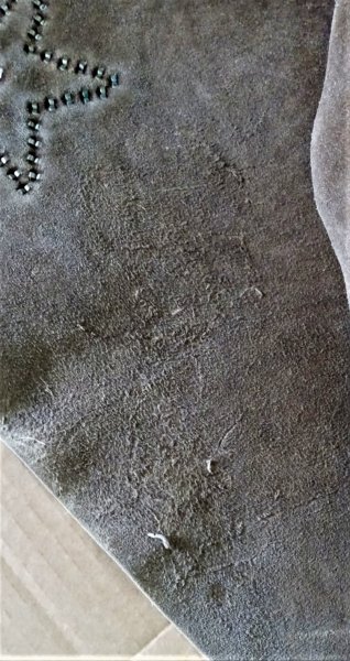 20211129_171937_HDR.jpg