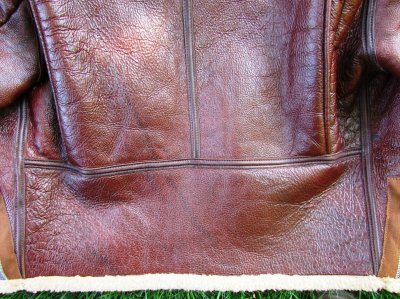 B-6back-panel2.jpg