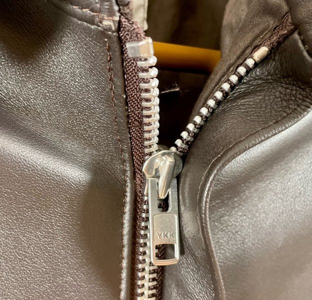 Zip - Closeup.jpeg