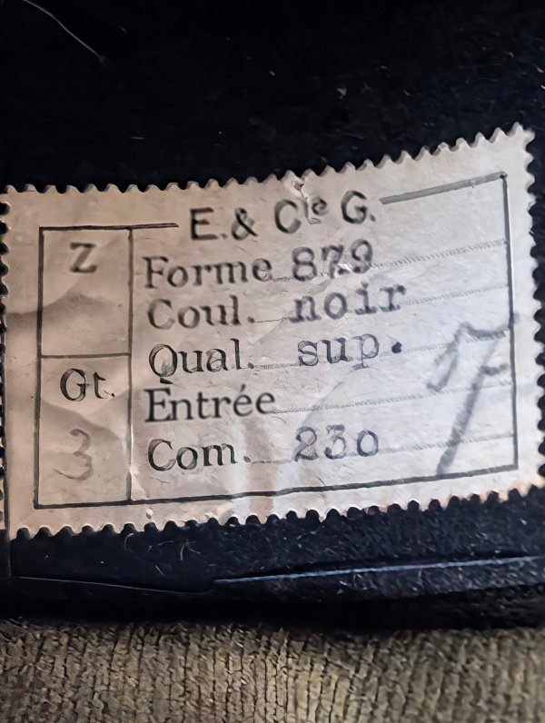 PXL_20250324_224310990~2.jpg